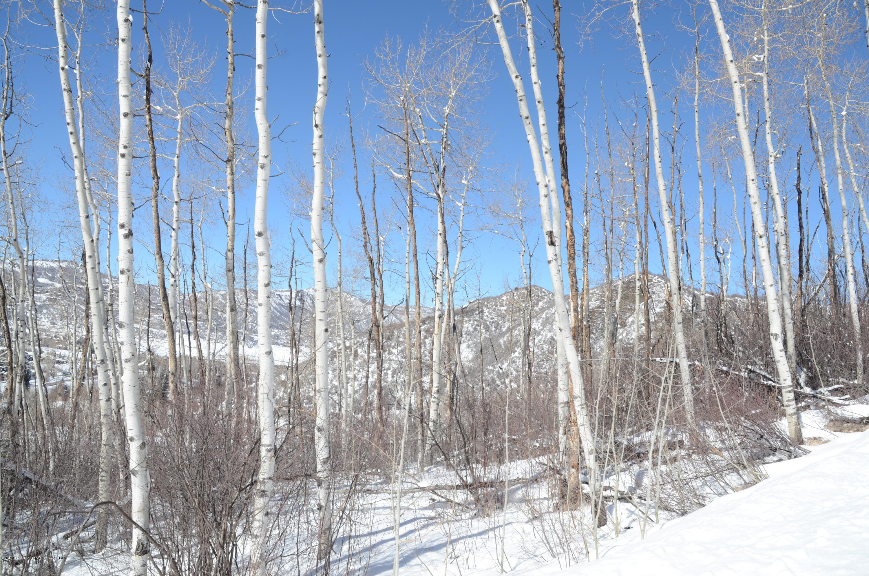 270 Spruce Ridge Lane, Snowmass Village, CO 81615