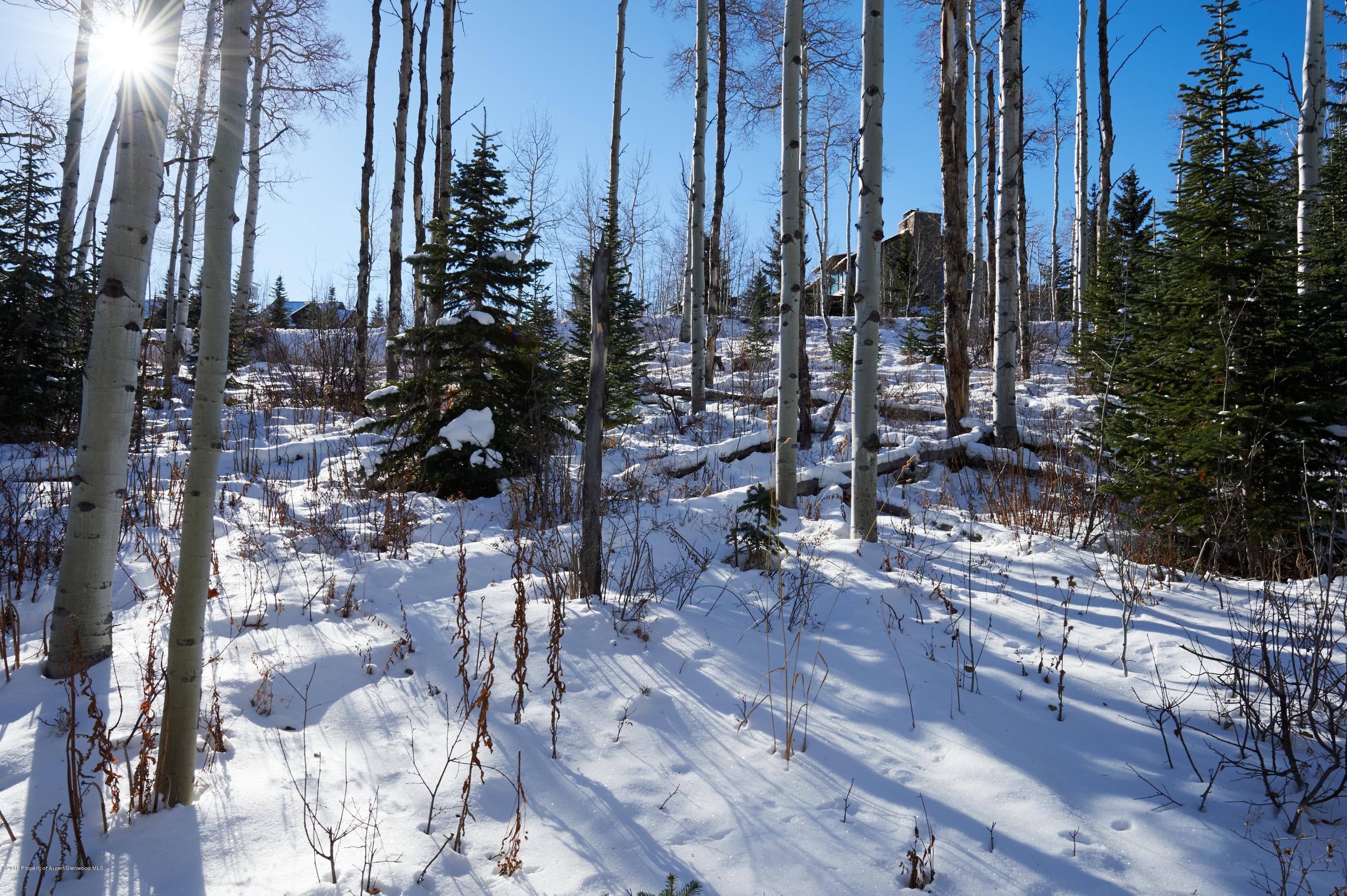 1951 Faraway Road, Snowmass Village, CO 81615