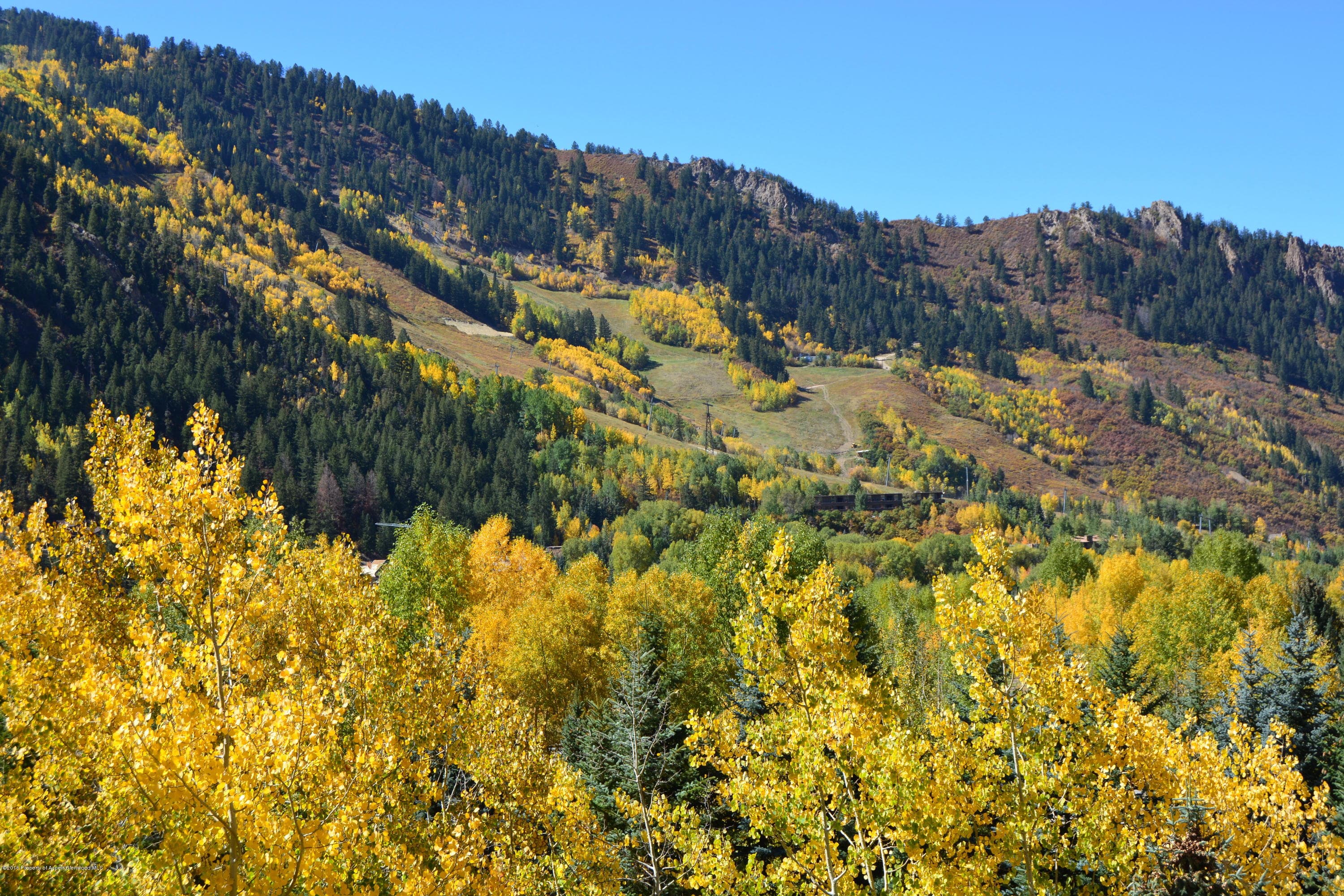 310 Eastwood Drive, Aspen, CO 81611