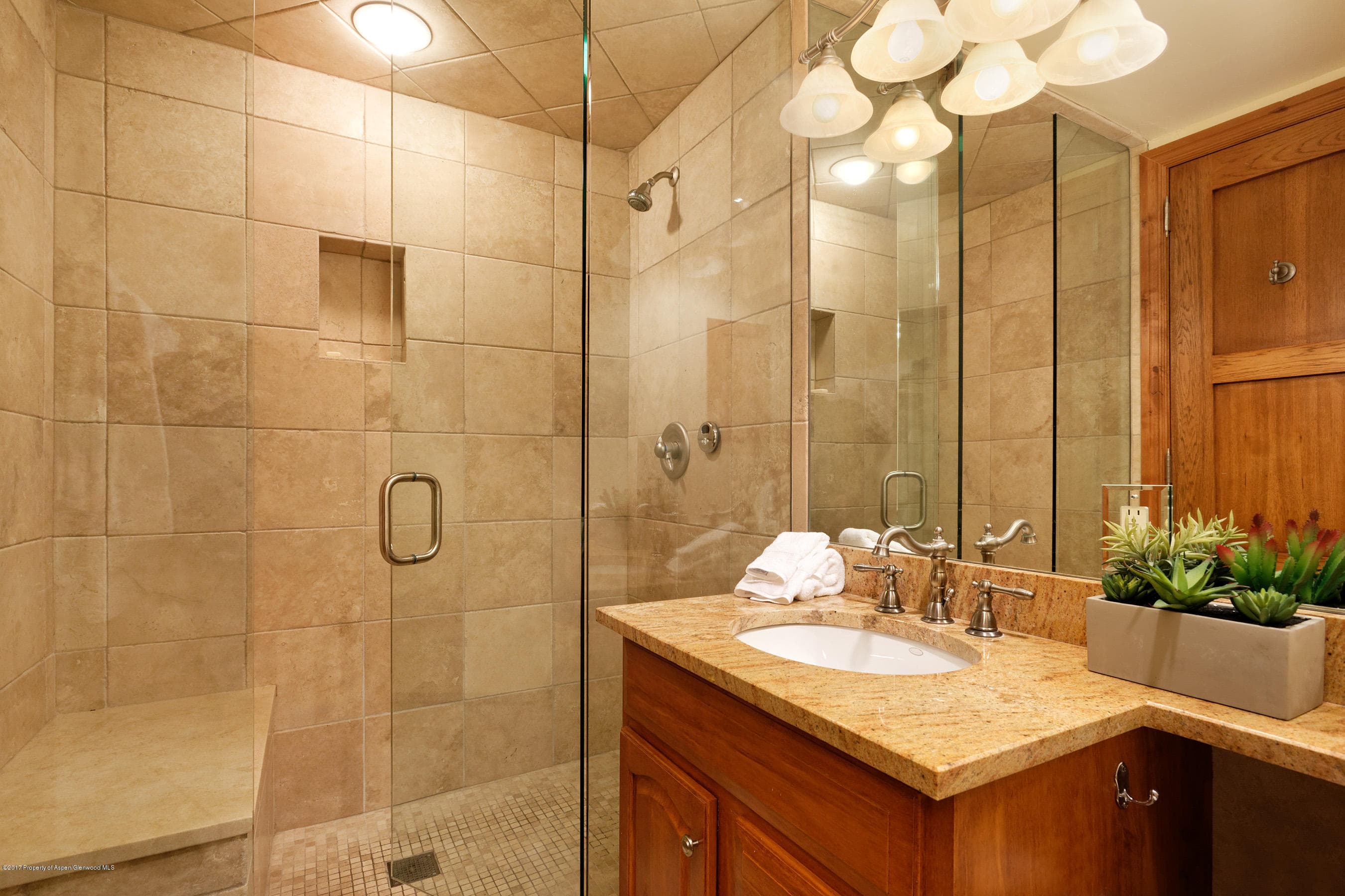 711 S Galena Street #19, Aspen, CO 81611 - Photo 6