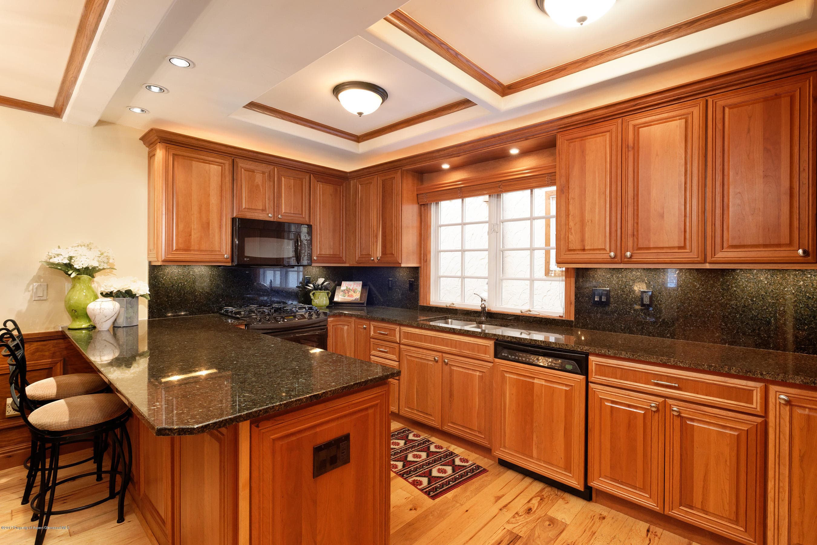 711 S Galena Street #19, Aspen, CO 81611 - Photo 4