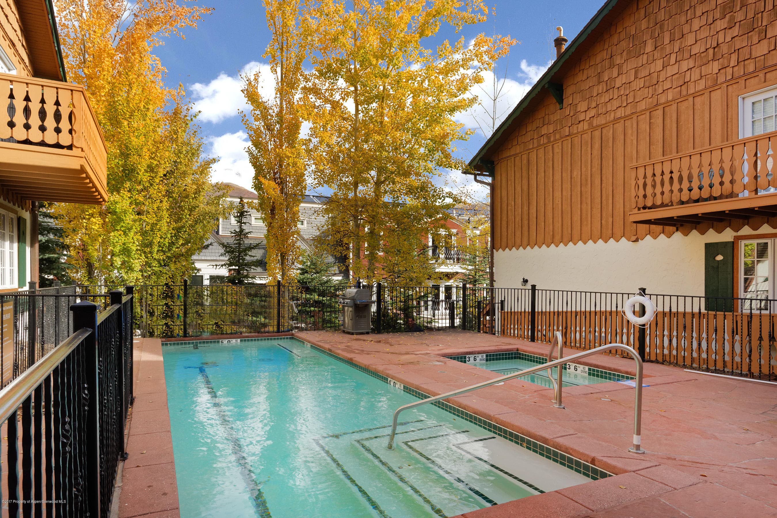 711 S Galena Street #19, Aspen, CO 81611 - Photo 11