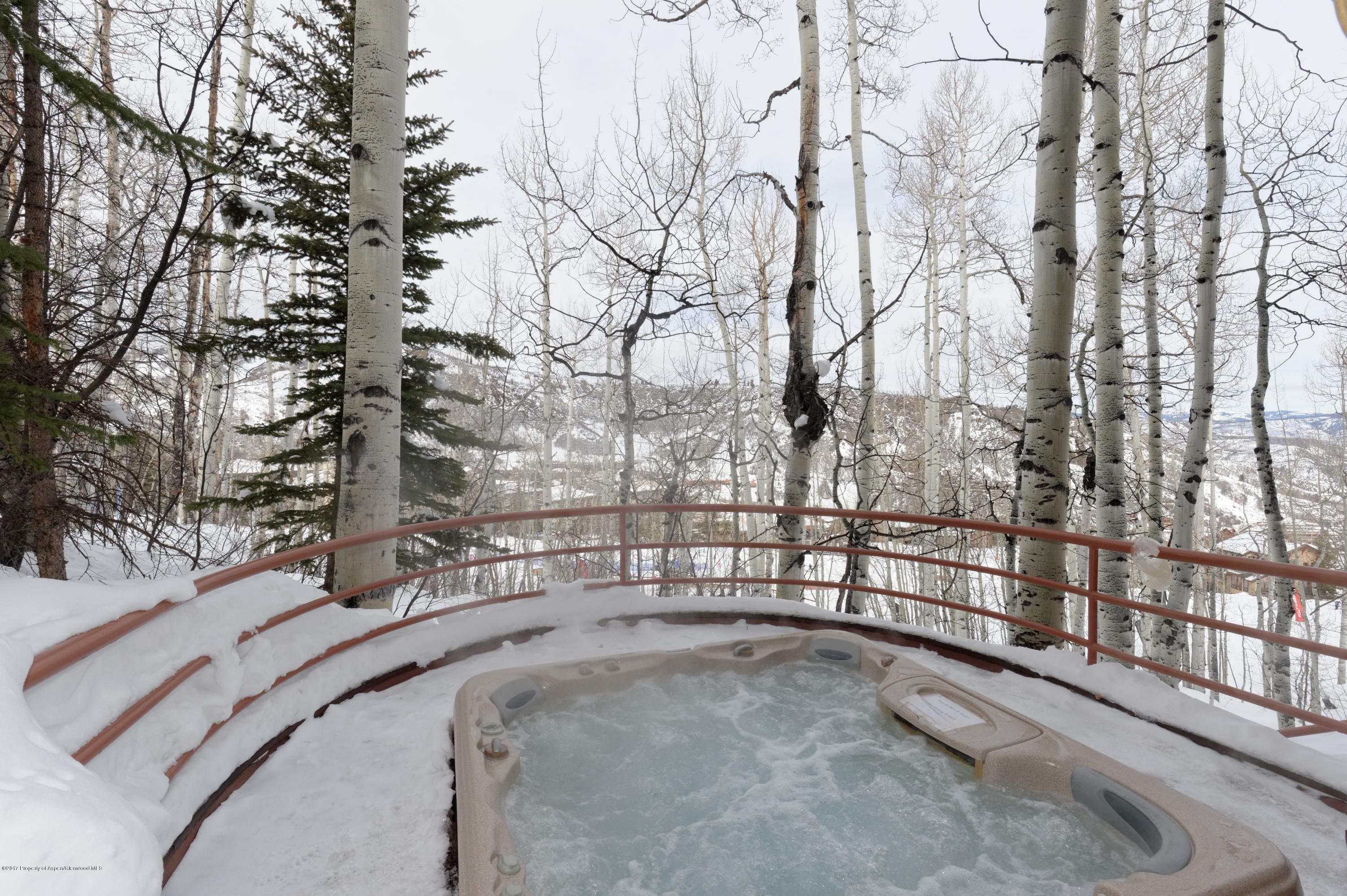 431 Edgewood Lane, Snowmass Village, CO 81615 - Photo 57