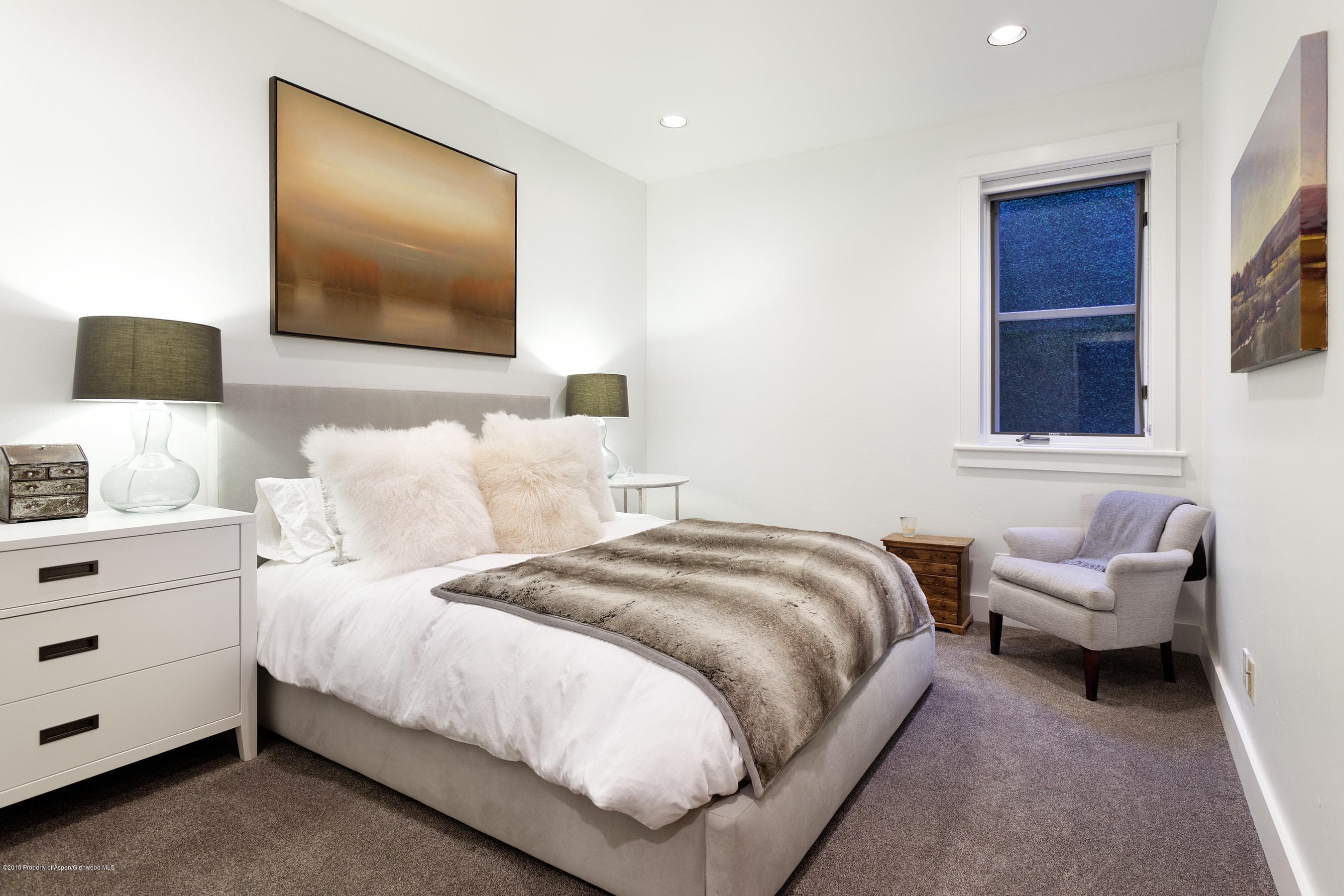 533 W Francis Street, Aspen, CO 81611 - Photo 23