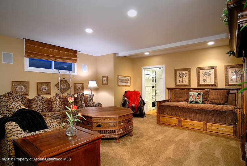 717 W Francis Street, Aspen, CO 81611 - Photo 9