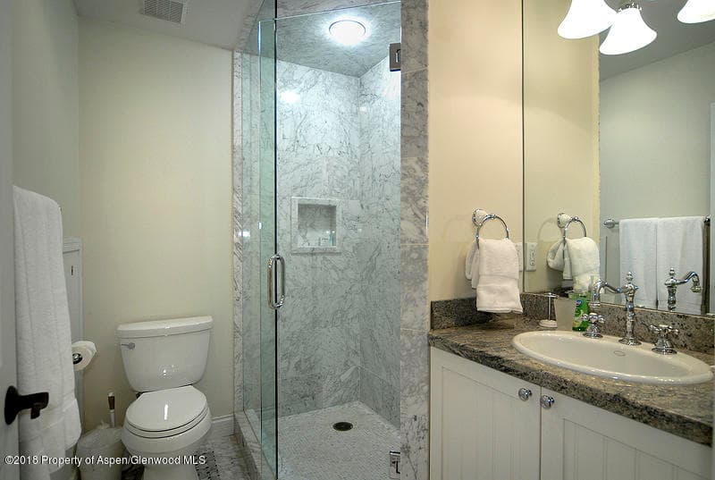 717 W Francis Street, Aspen, CO 81611 - Photo 10
