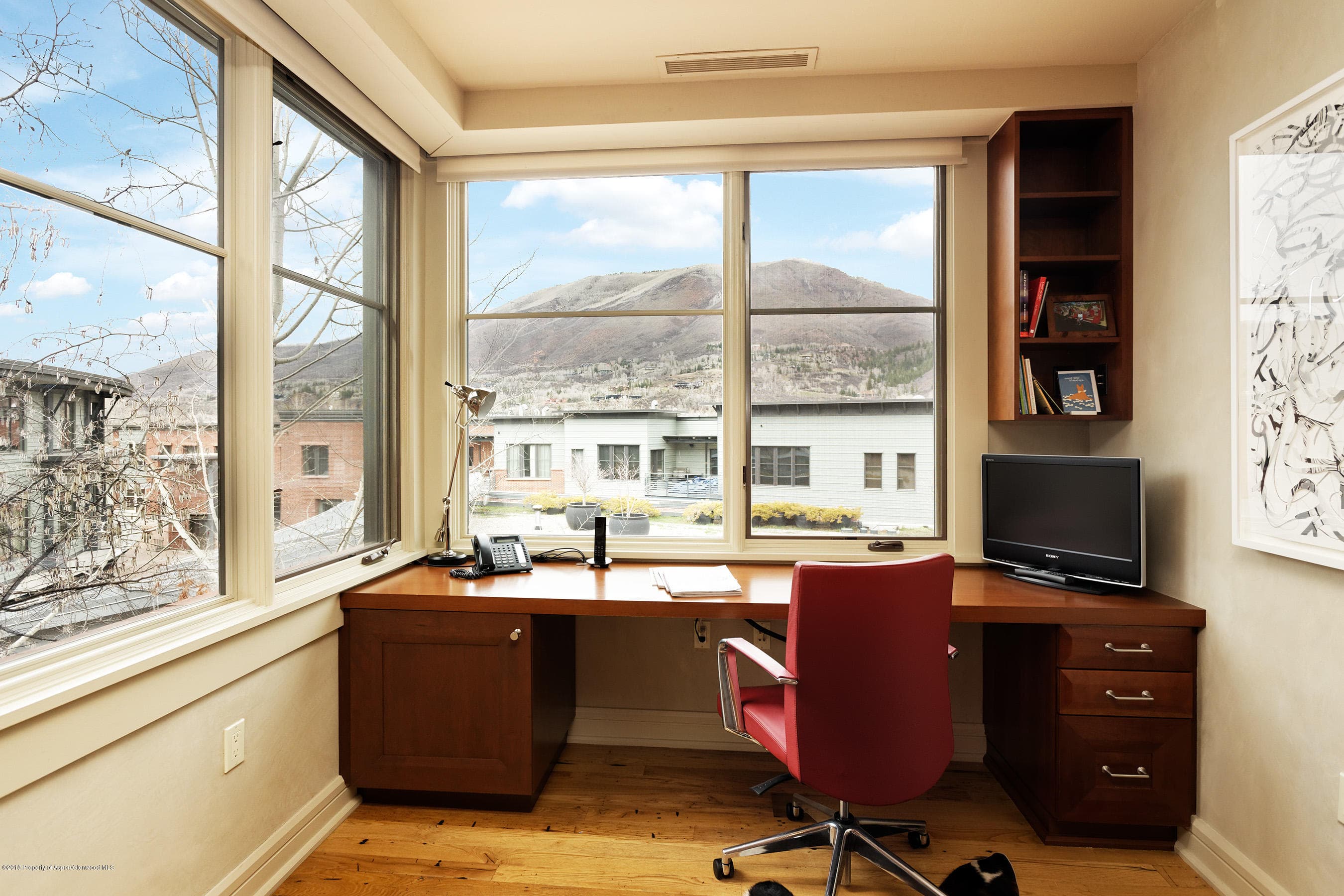 102 Founders Place 301, Aspen, CO 81611 - Photo 10