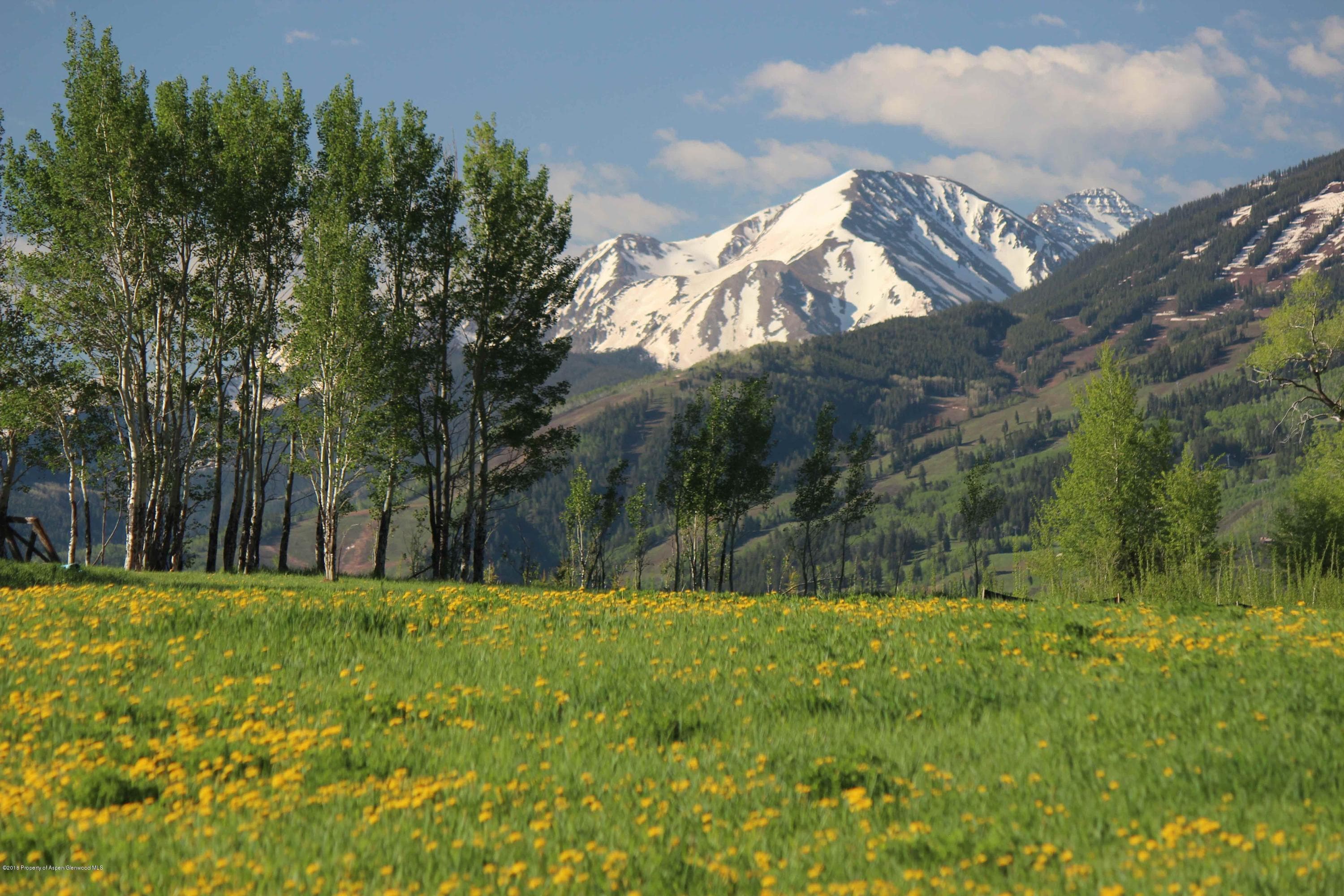 TBD Woody Creek Rd Road, Aspen, CO 81611