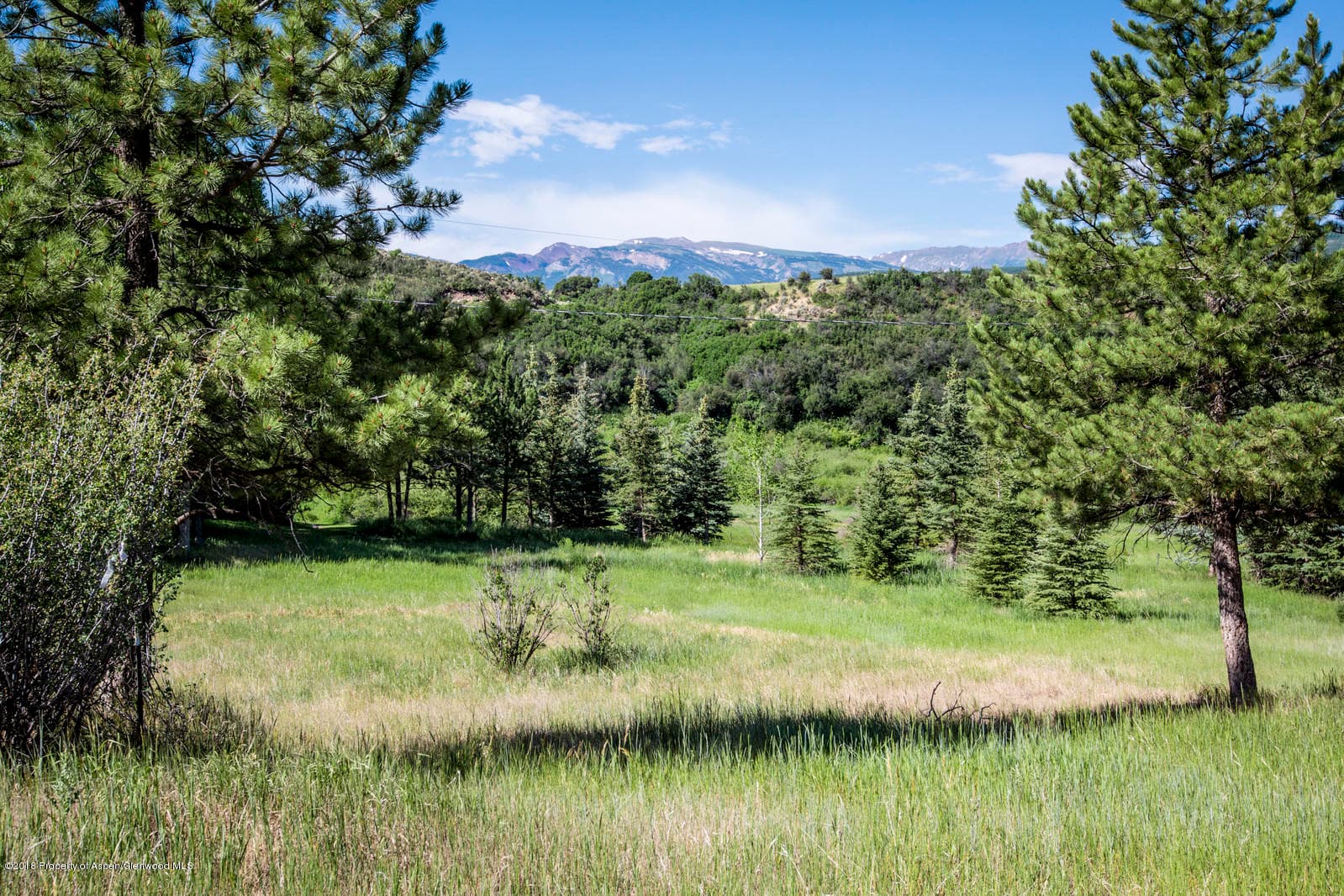 1088 Woody Creek Road, Woody Creek, CO 81656