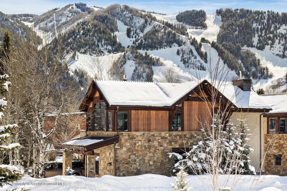 566 Race Street, Aspen, CO 81611 - Photo 18