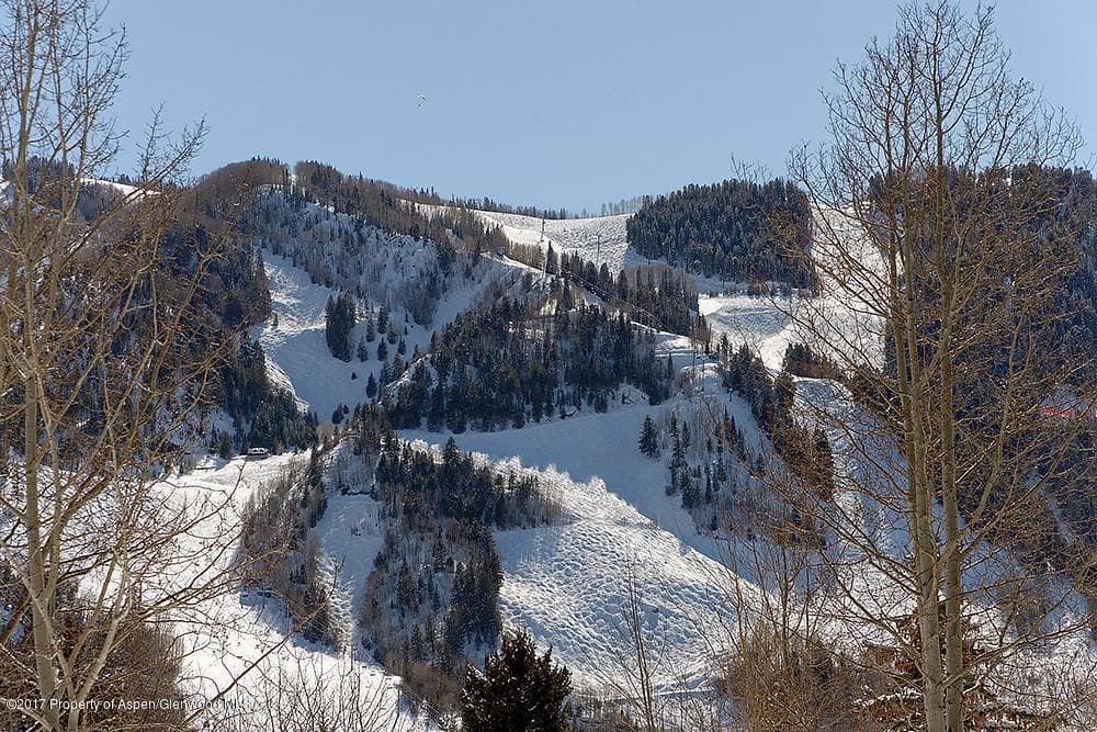 566 Race Street, Aspen, CO 81611 - Photo 19