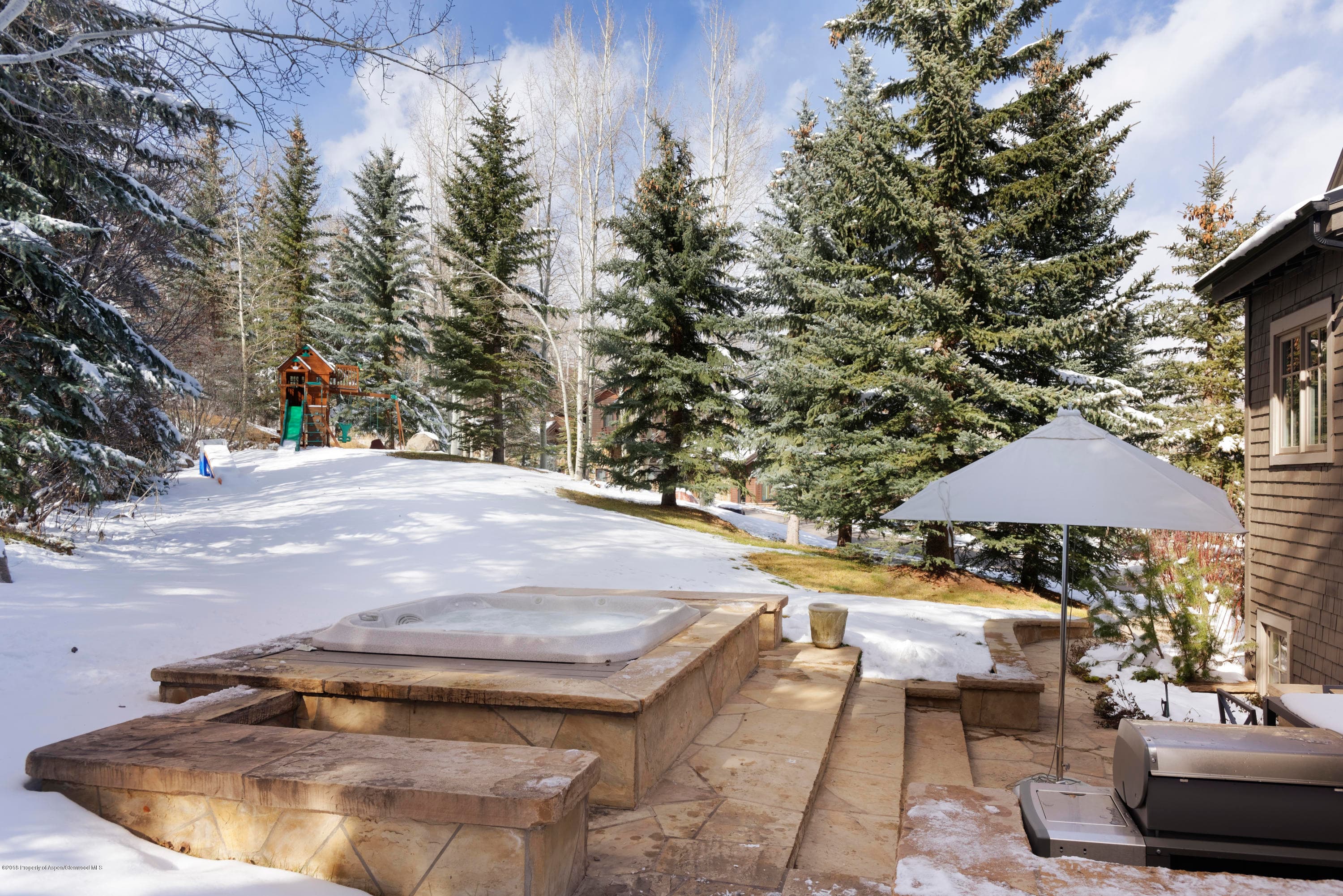 1205 Tiehack Road, Aspen, CO 81611 - Photo 24