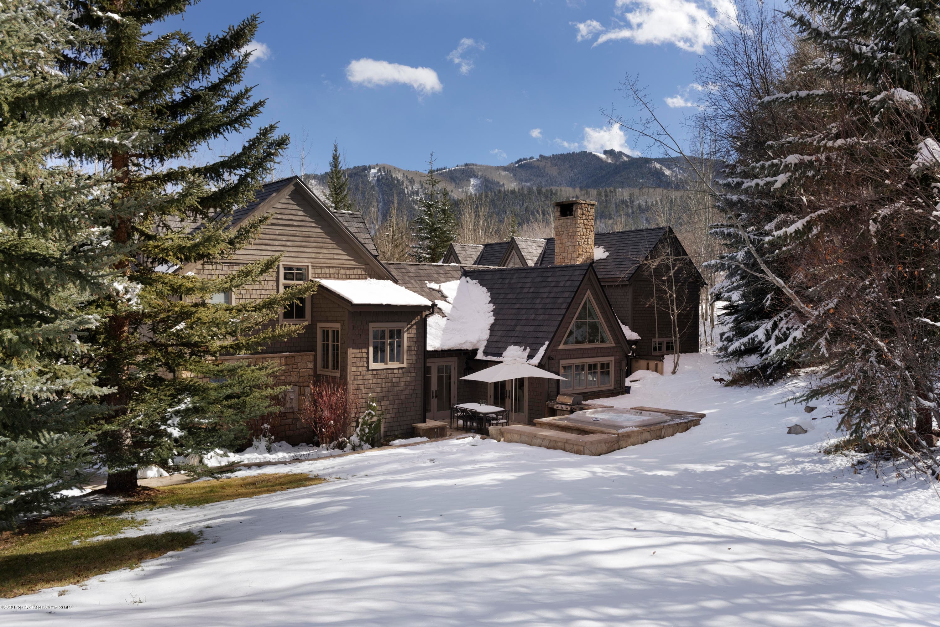 1205 Tiehack Road, Aspen, CO 81611 - Photo 28