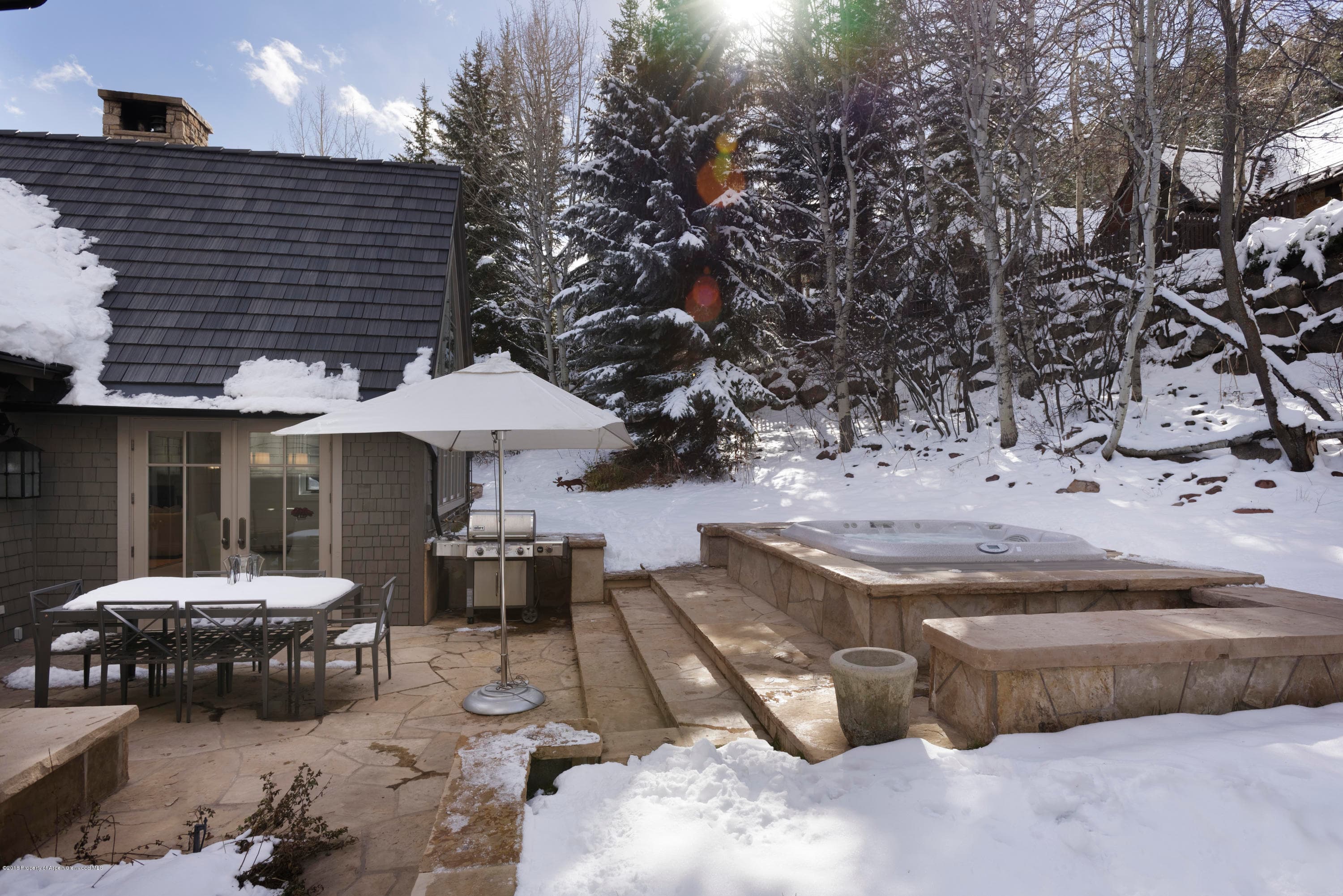 1205 Tiehack Road, Aspen, CO 81611 - Photo 25