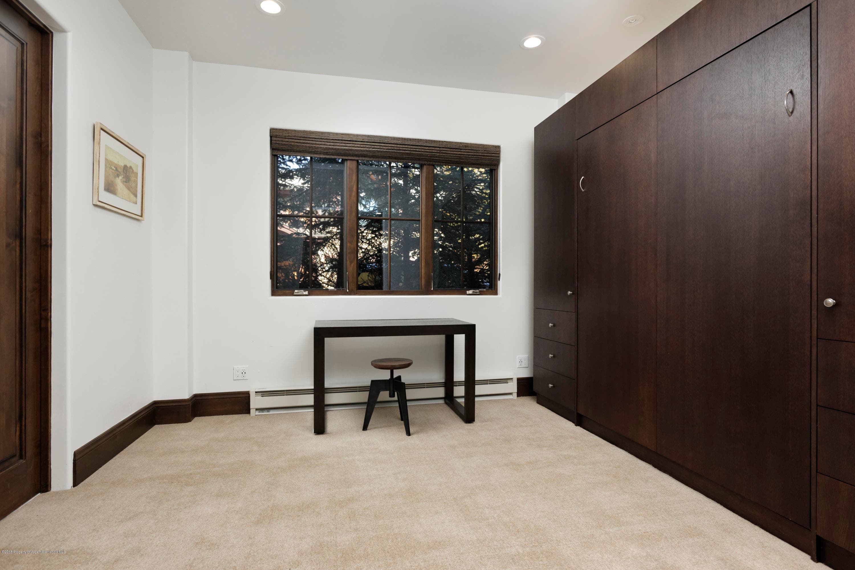 566 Race Street, Aspen, CO 81611 - Photo 9