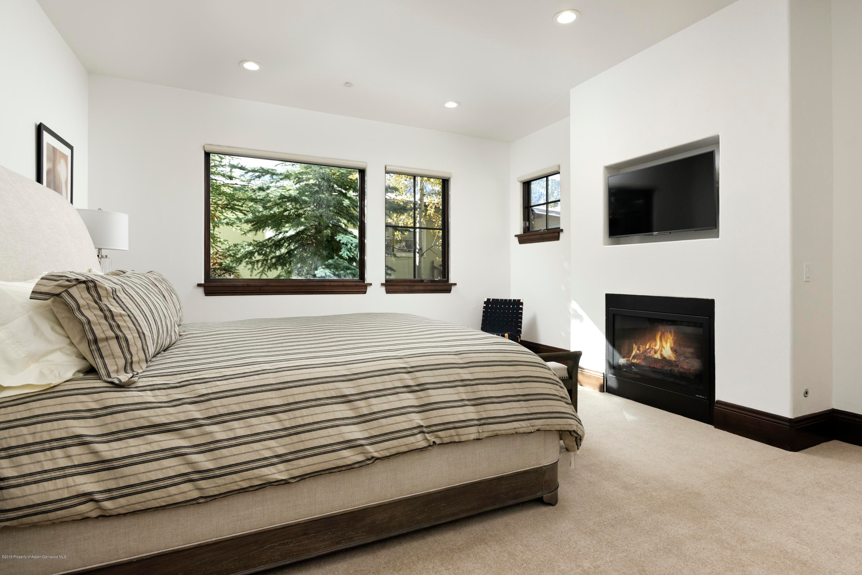 566 Race Street, Aspen, CO 81611 - Photo 6