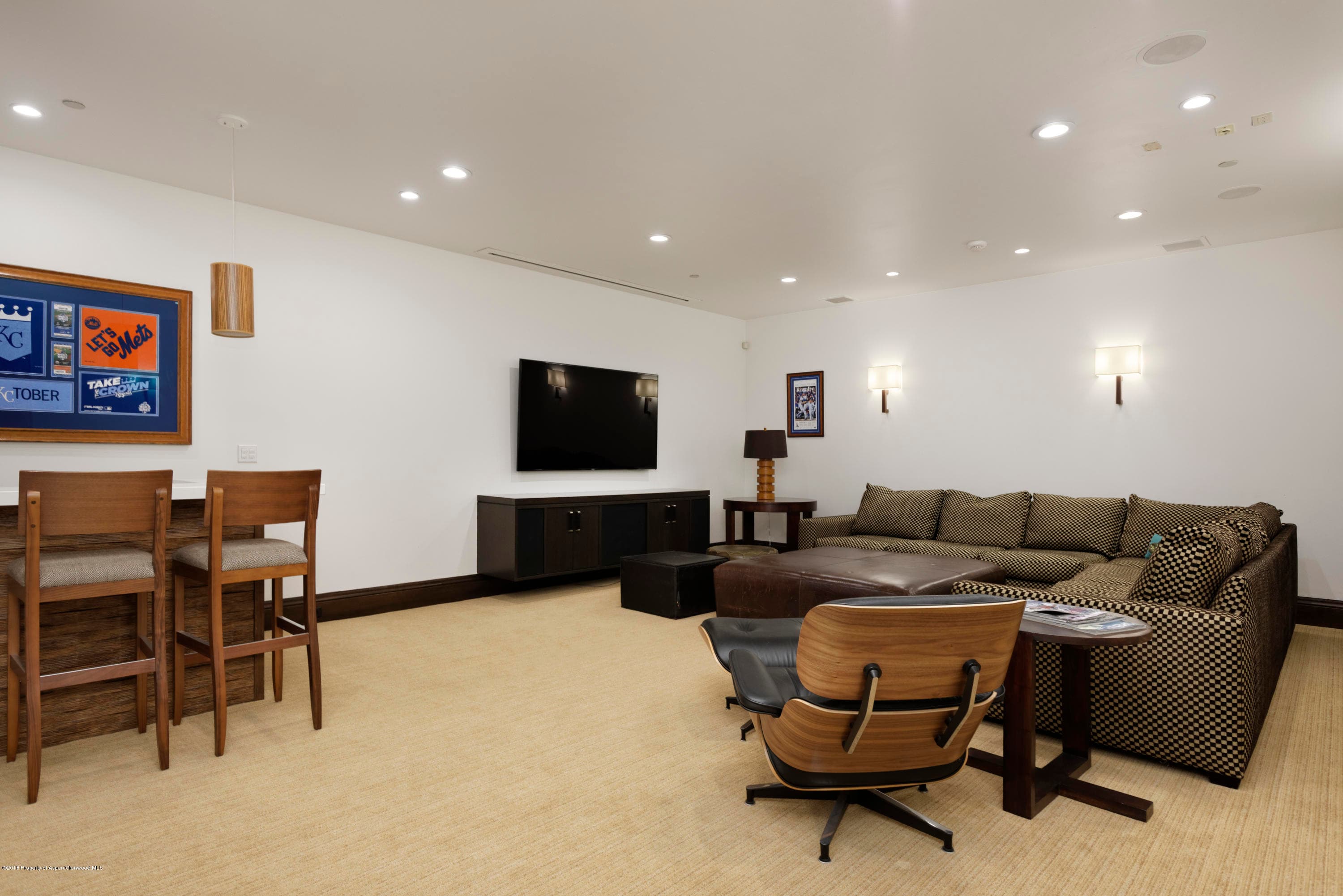 566 Race Street, Aspen, CO 81611 - Photo 17