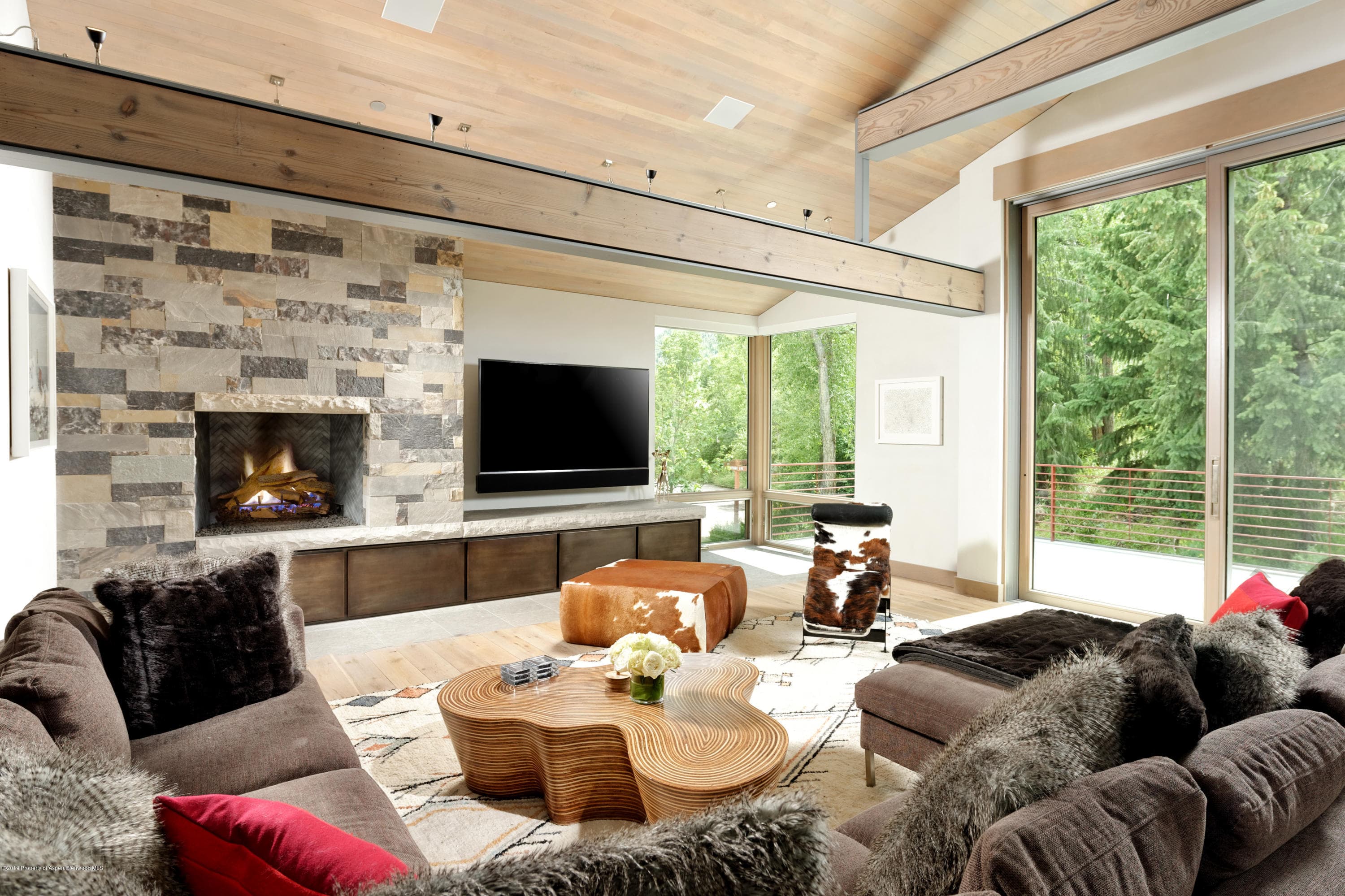 217 S Third Street, Aspen, CO 81611 - Photo 8