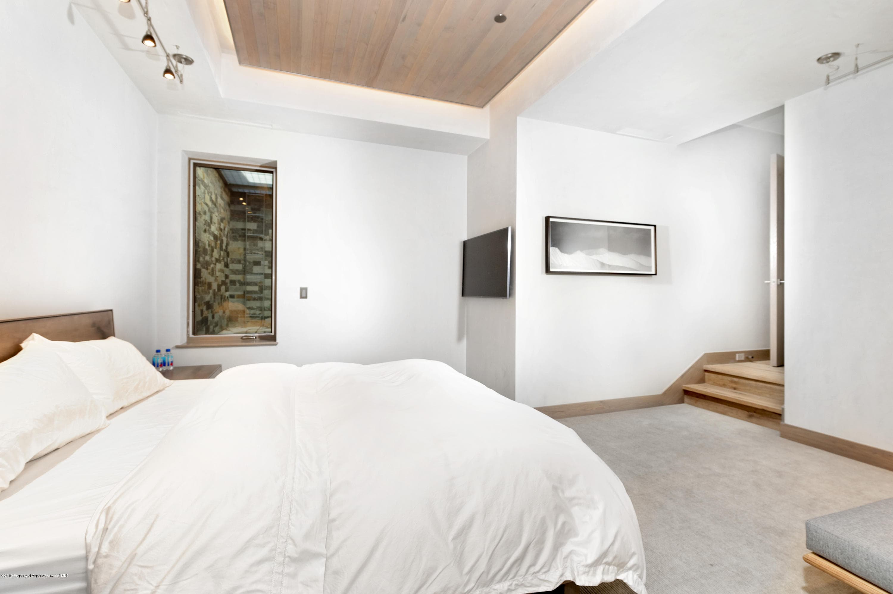 217 S Third Street, Aspen, CO 81611 - Photo 17