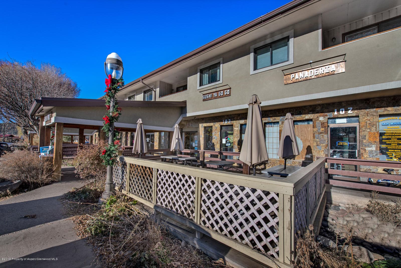 60 El Jebel Road, Carbondale, CO 81623 - Photo 11