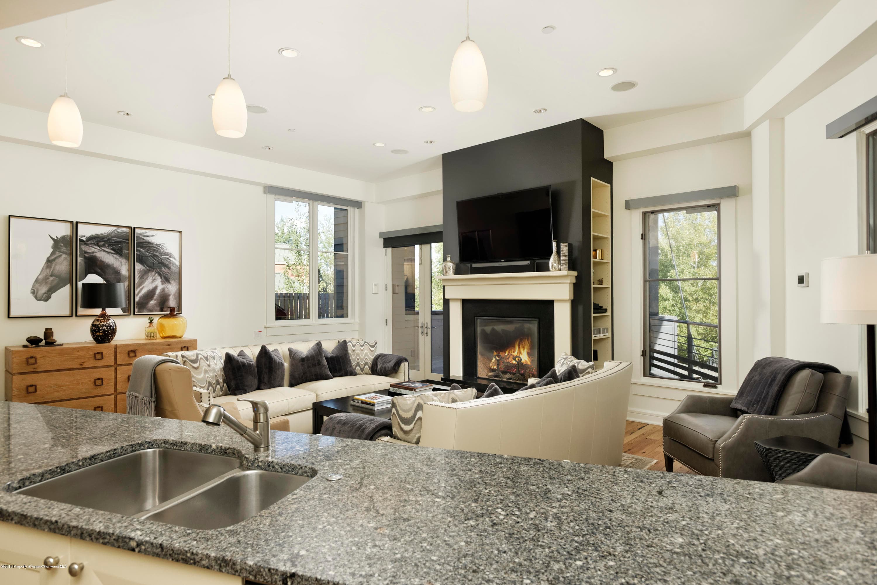 101 Founders Place #201, Aspen, CO 81611 - Photo 4