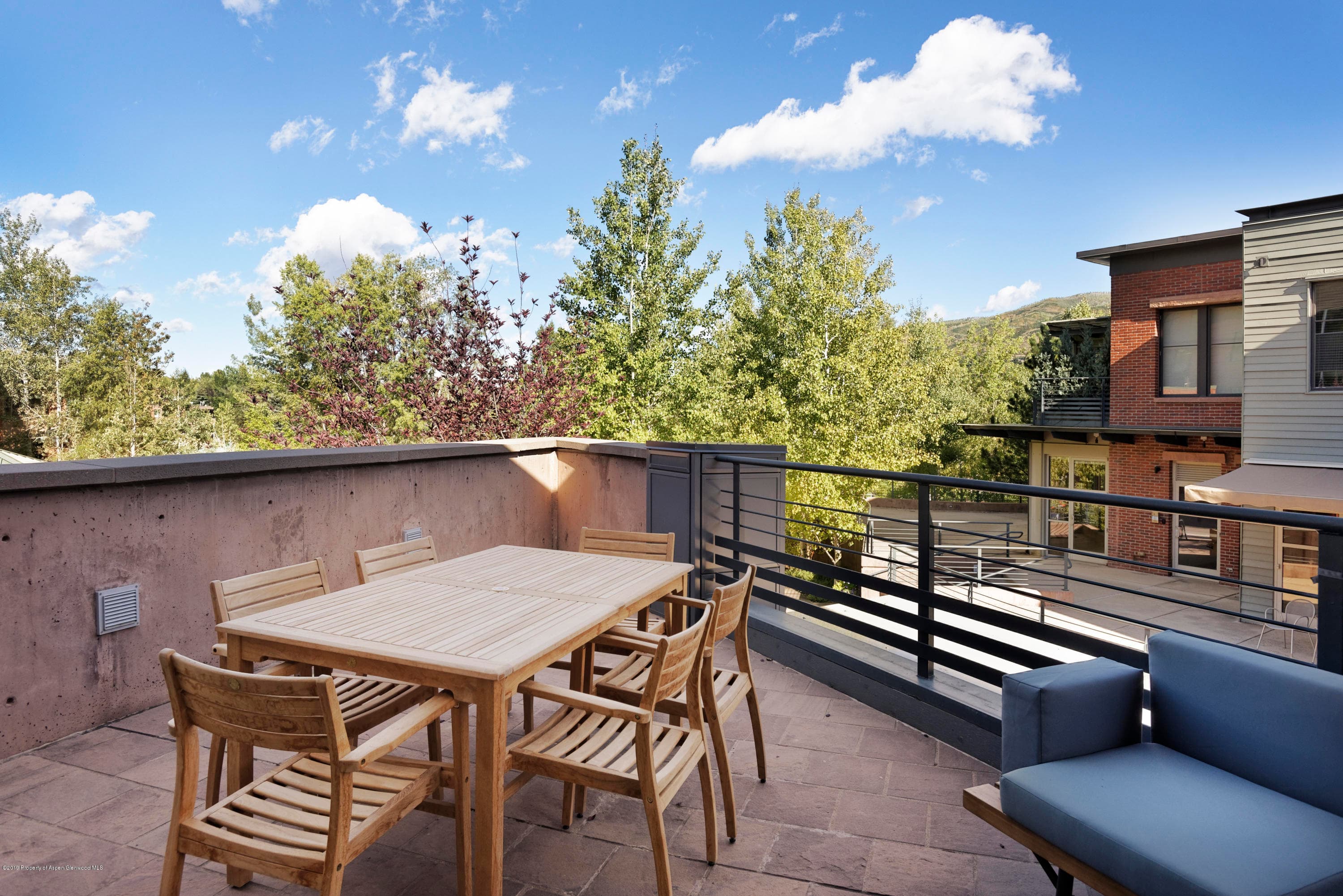 101 Founders Place #201, Aspen, CO 81611 - Photo 17