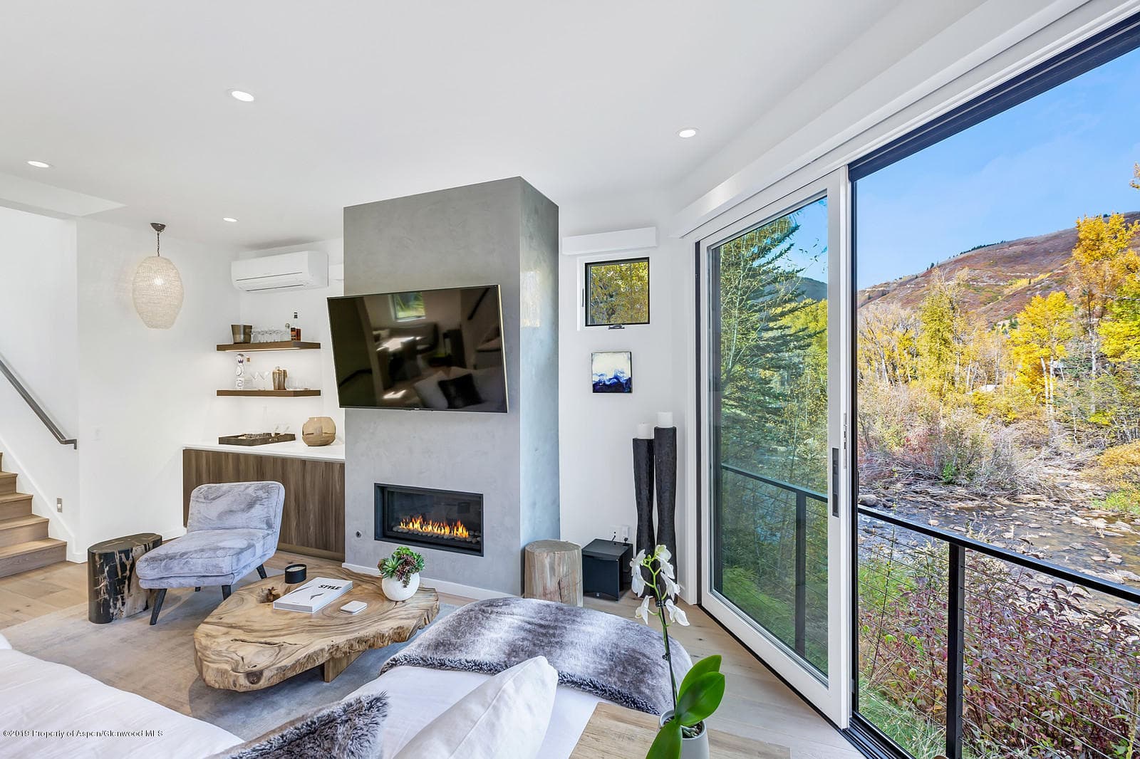 1098 E Waters Avenue, Aspen, CO 81611 - Photo 5