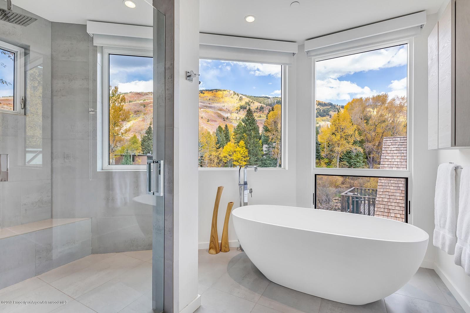 1098 E Waters Avenue, Aspen, CO 81611 - Photo 20