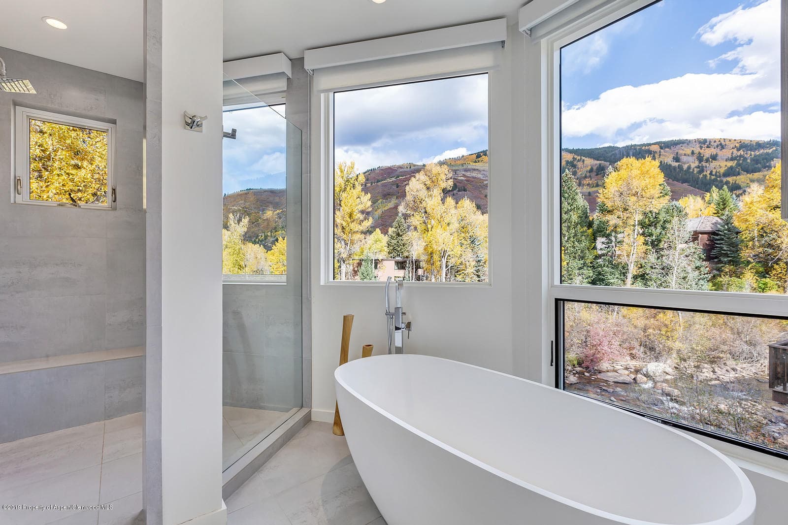 1098 E Waters Avenue, Aspen, CO 81611 - Photo 21