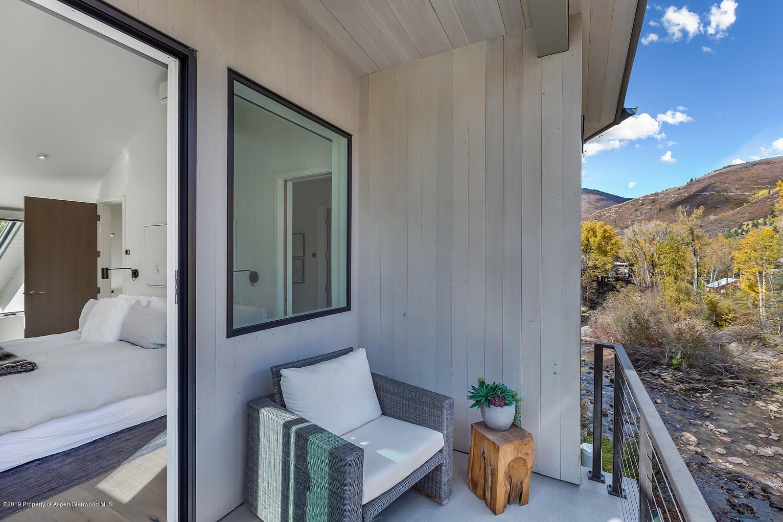 1098 E Waters Avenue, Aspen, CO 81611 - Photo 28