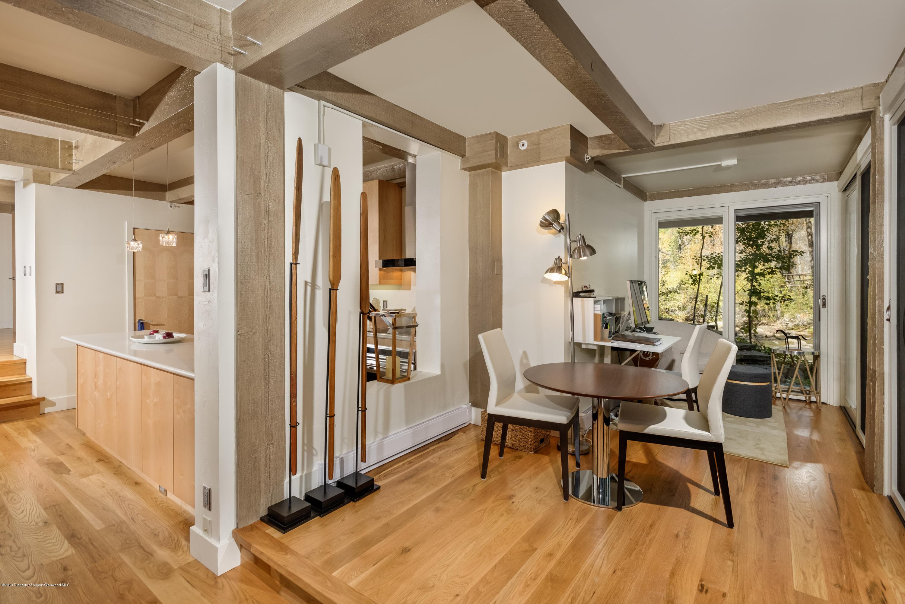 1034 E Cooper Avenue 24, Aspen, CO 81611 - Photo 7