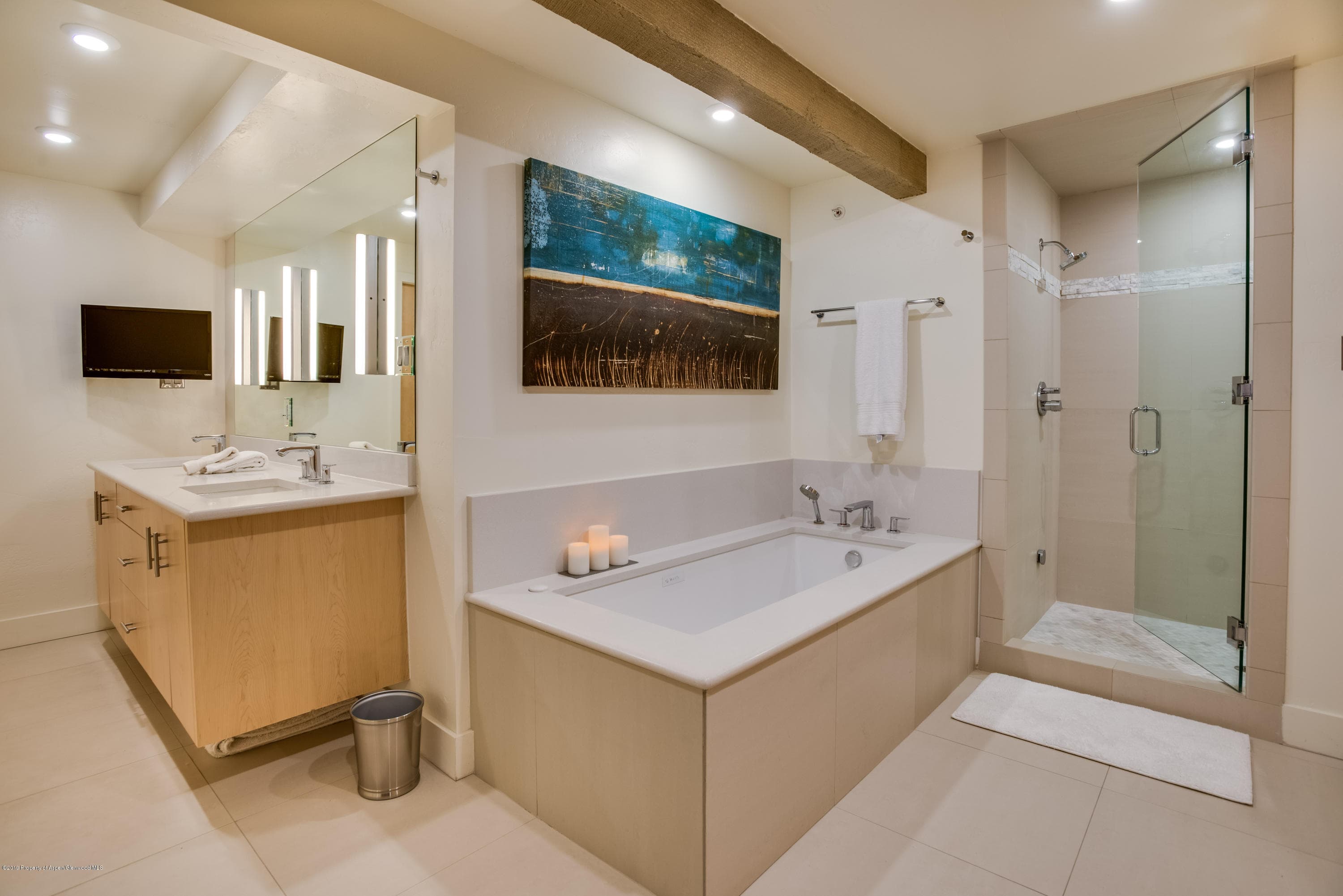 1034 E Cooper Avenue 24, Aspen, CO 81611 - Photo 11