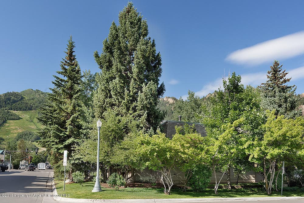 117 N Monarch Street Unit #2, Aspen, CO 81611 - Photo 12