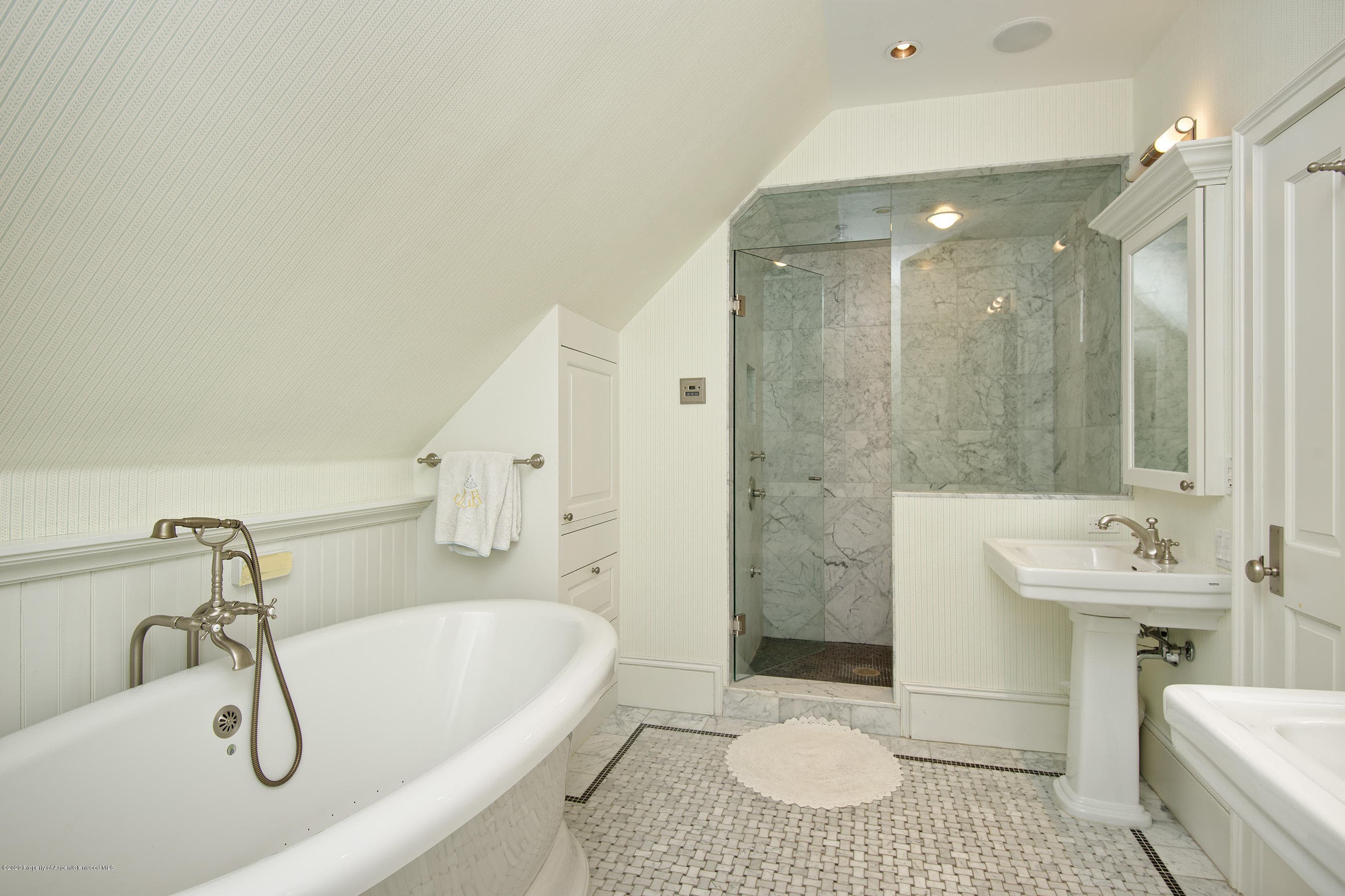 716 W Francis Street, Aspen, CO 81611 - Photo 9