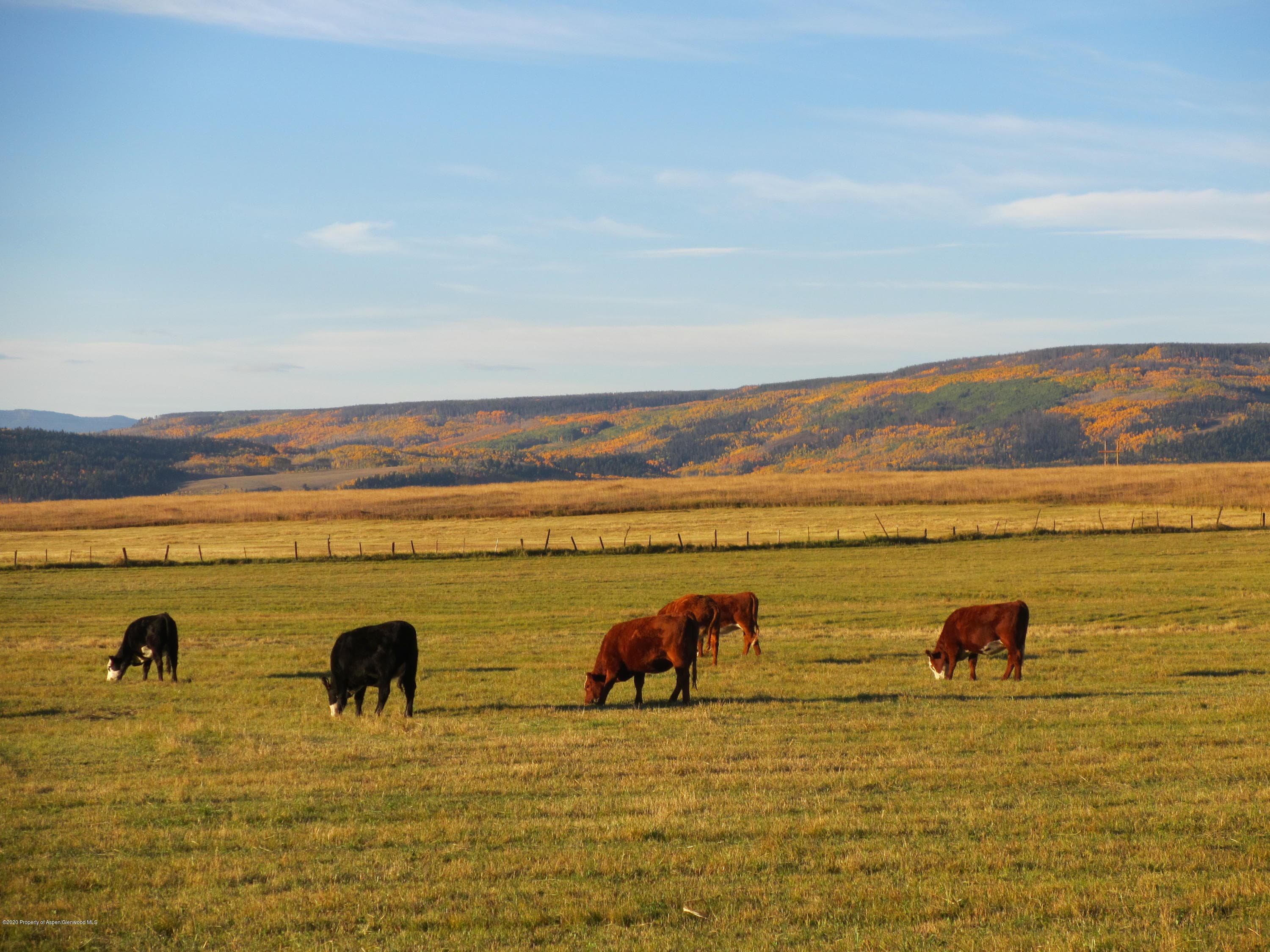 35470 State Highway 134, Toponas, CO 80479