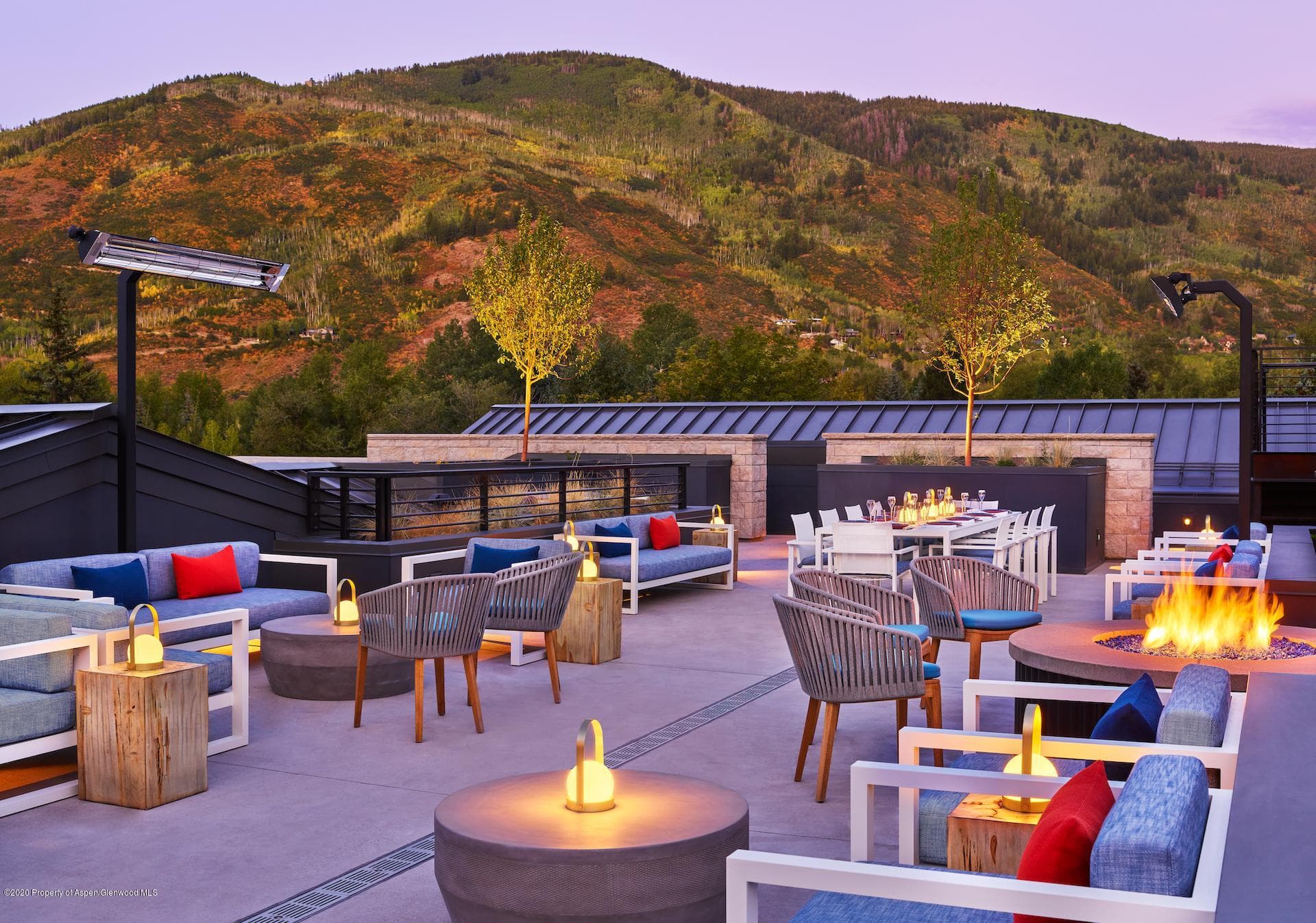 550 S Spring Street, Aspen, CO 81611 - Photo 9