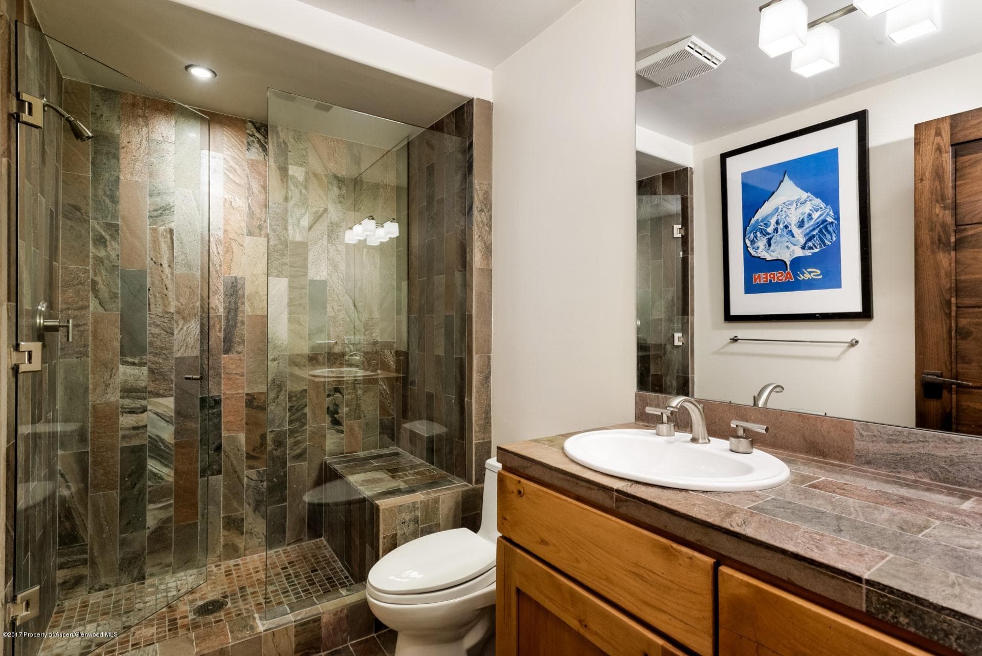 342 Summit Street B, Aspen, CO 81611 - Photo 22