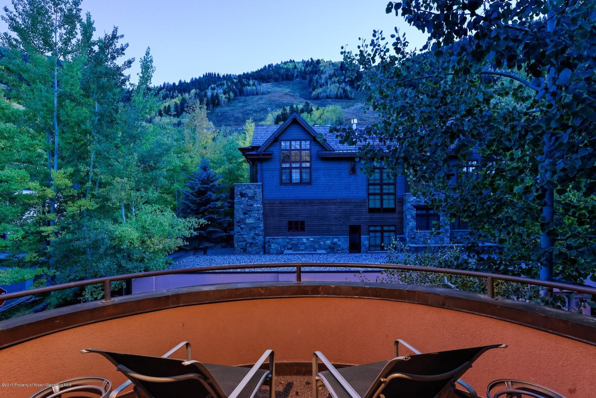 342 Summit Street B, Aspen, CO 81611 - Photo 29