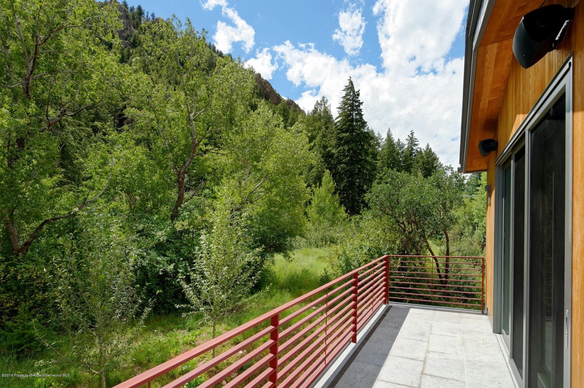 217 S Third Street, Aspen, CO 81611 - Photo 28