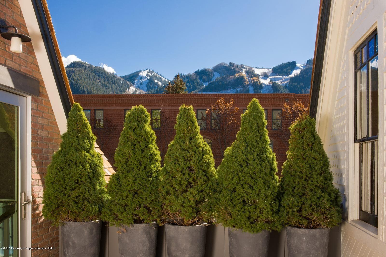 202 N Monarch Street, Aspen, CO 81611 - Photo 30