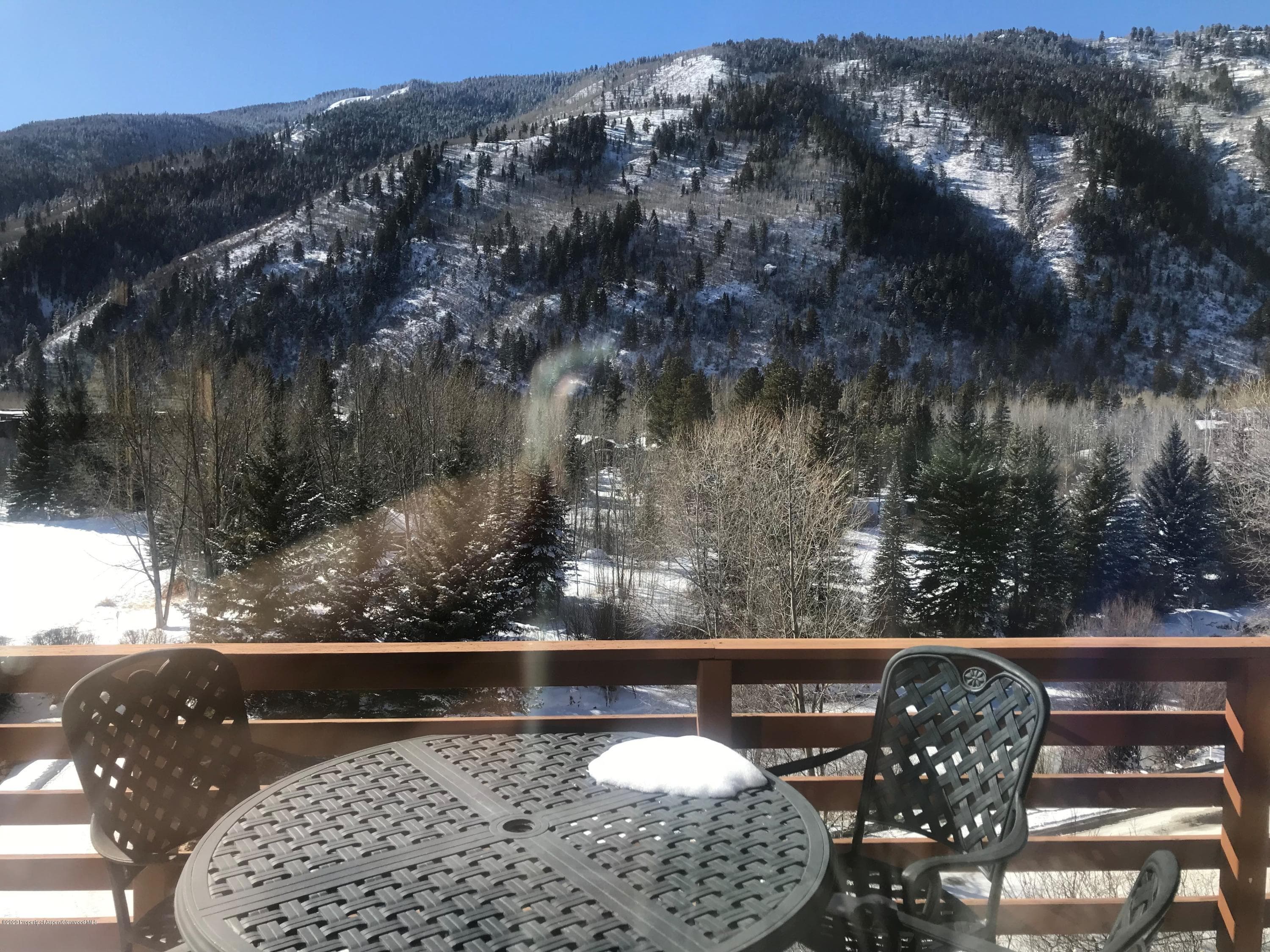 368 E Lupine Drive, Aspen, CO 81611 - Photo 10