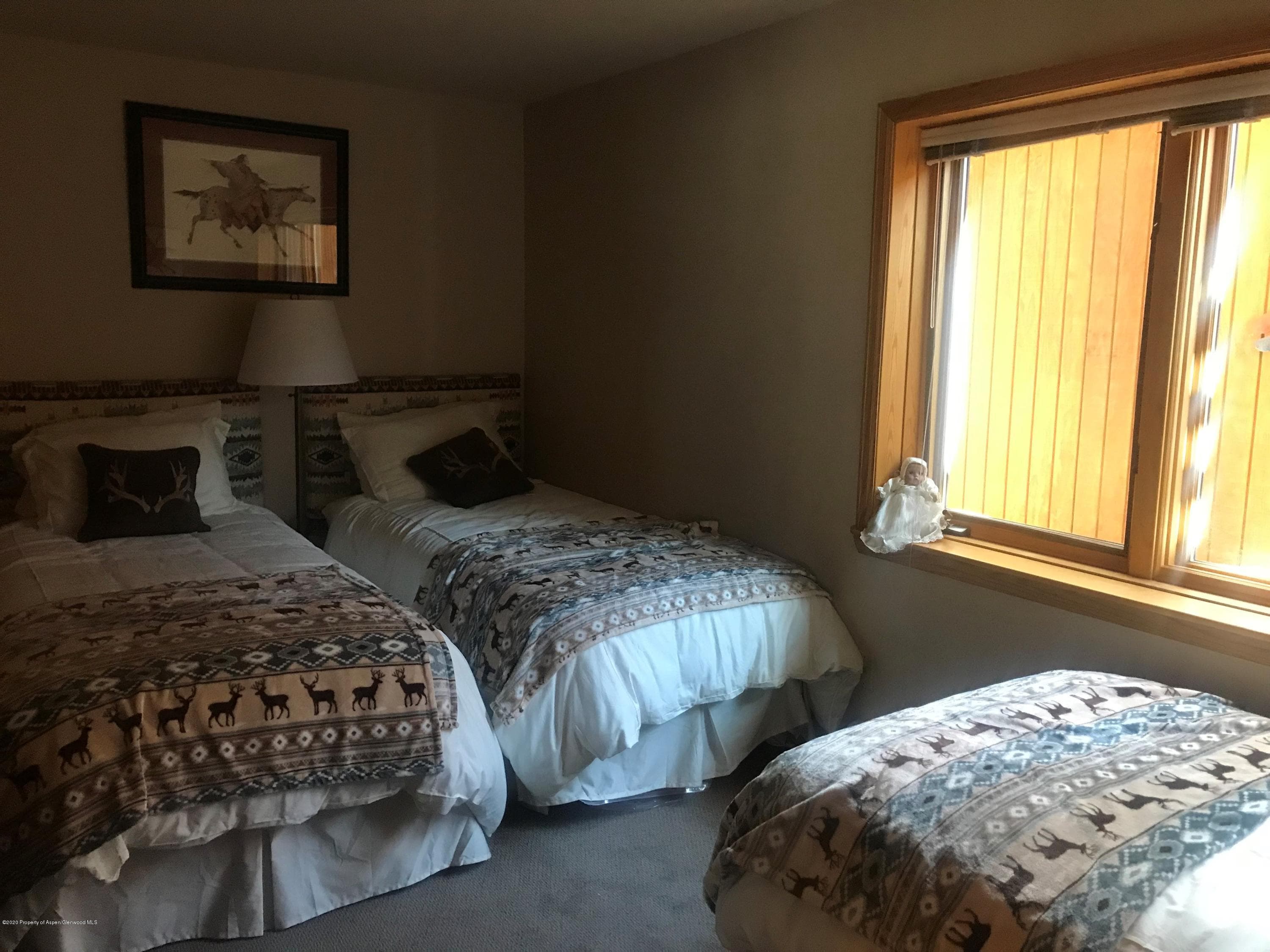 368 E Lupine Drive, Aspen, CO 81611 - Photo 5
