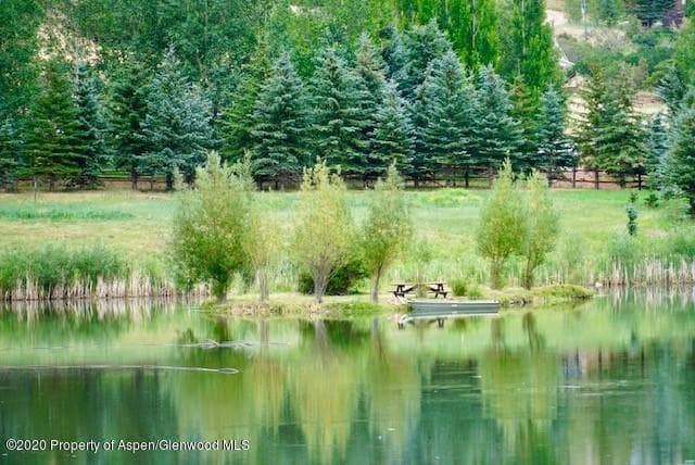 4959 Frying Pan Road, Basalt, CO 81621