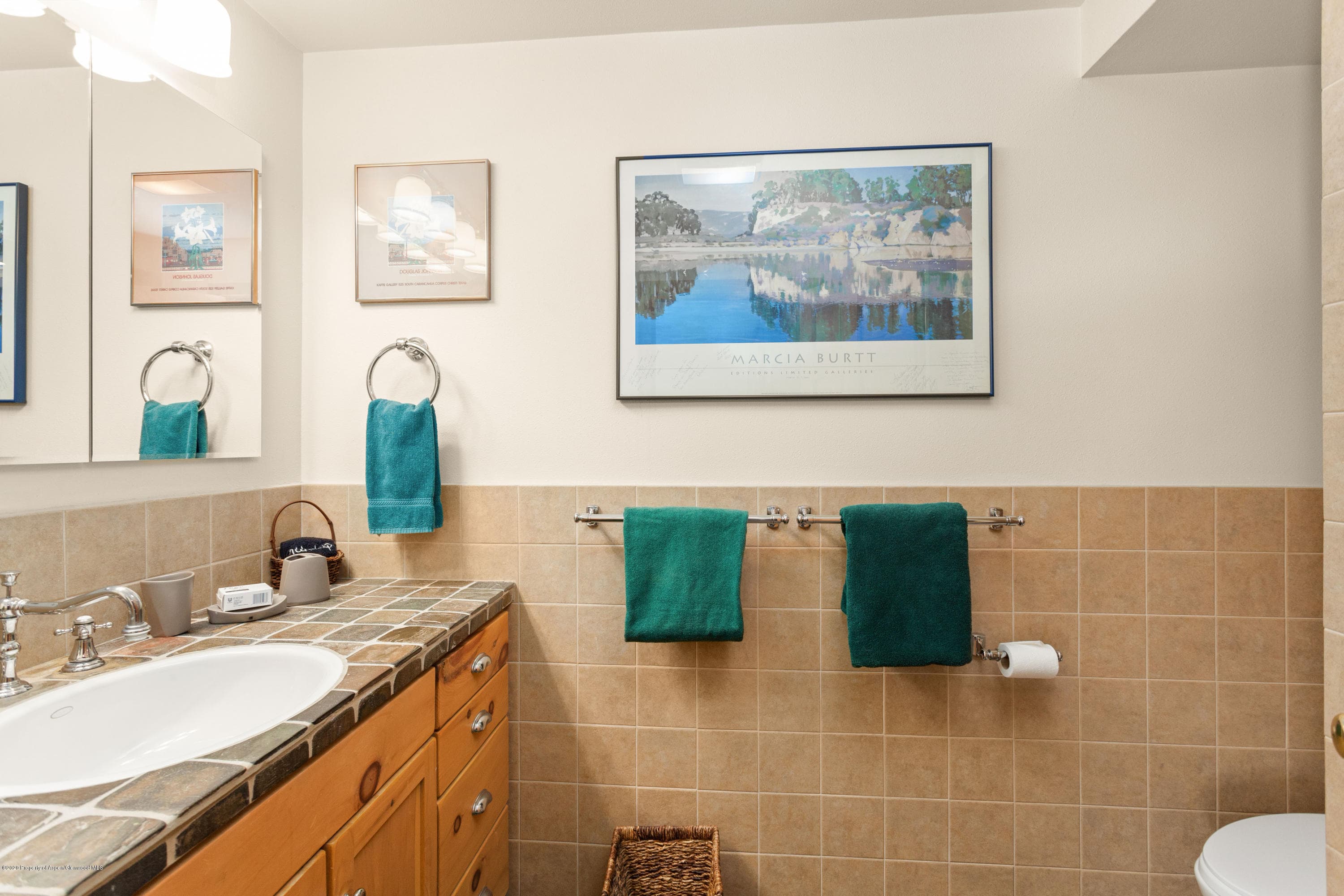 129 E Hopkins Avenue, Aspen, CO 81611 - Photo 16