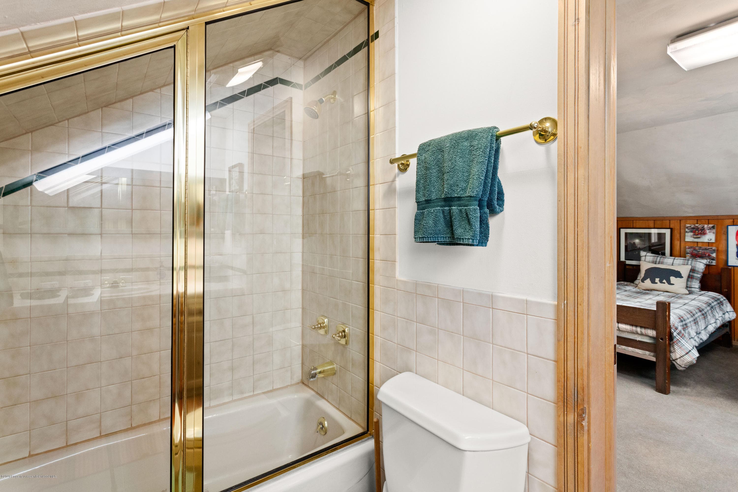 129 E Hopkins Avenue, Aspen, CO 81611 - Photo 18