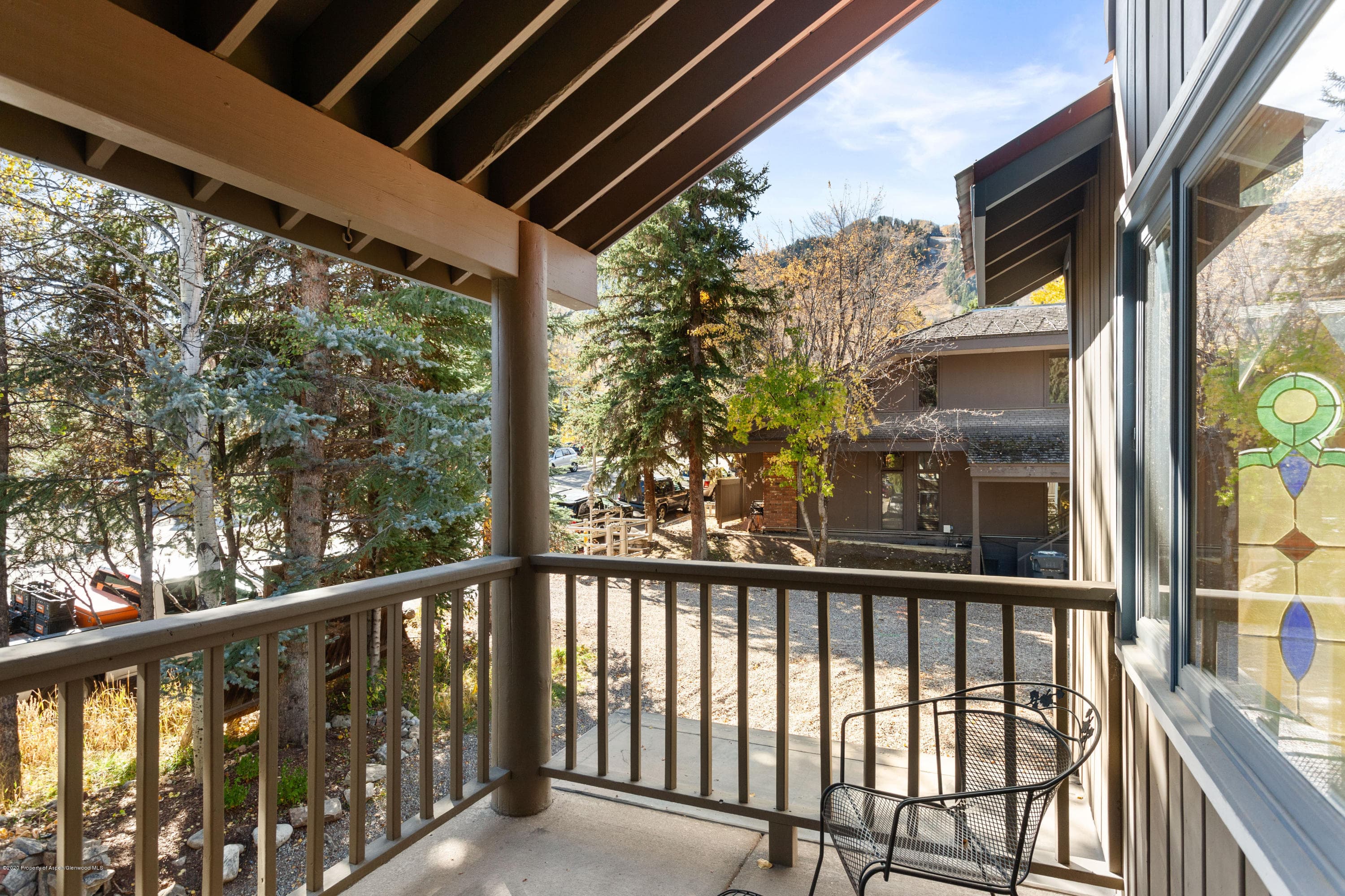 129 E Hopkins Avenue, Aspen, CO 81611 - Photo 21