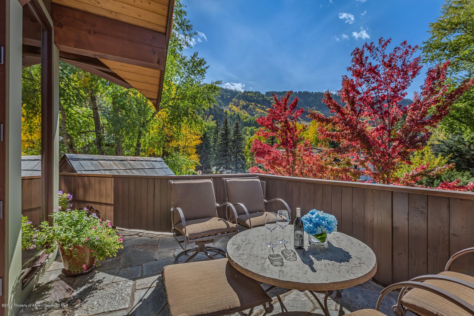 900 Waters Avenue, Aspen, CO 81611 - Photo 60