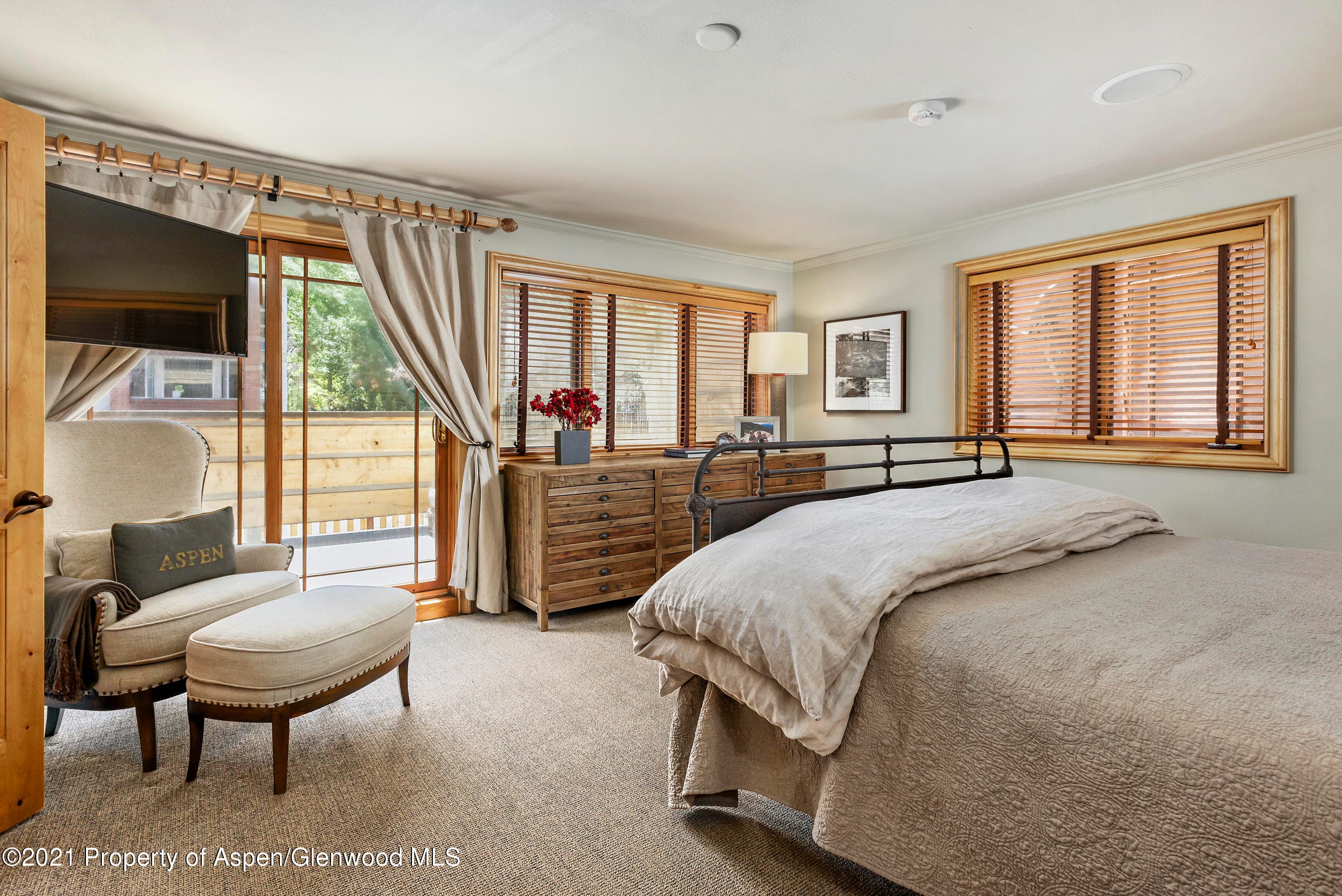 715 E Hopkins Avenue, Aspen, CO 81611 - Photo 9
