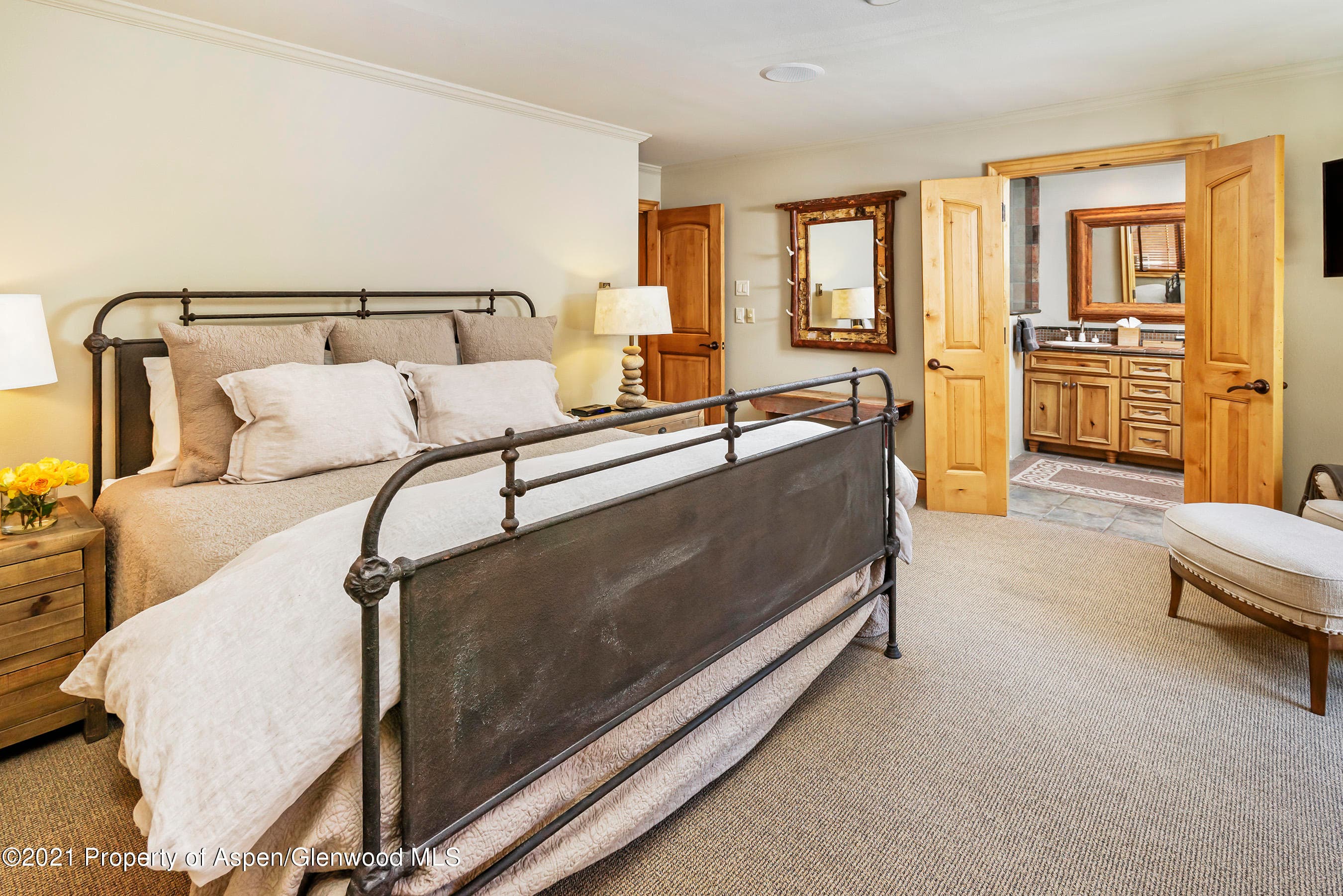 715 E Hopkins Avenue, Aspen, CO 81611 - Photo 11