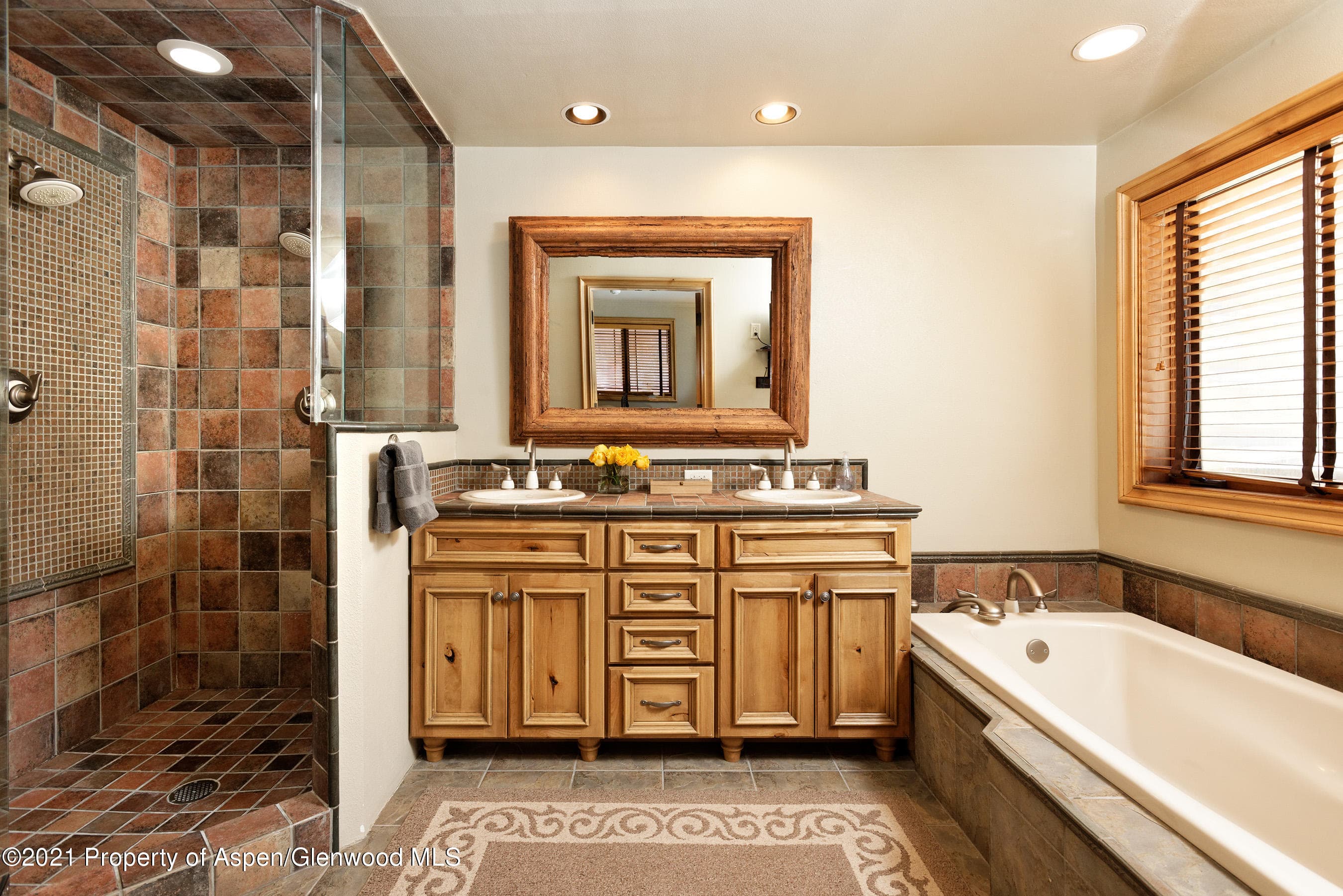 715 E Hopkins Avenue, Aspen, CO 81611 - Photo 12